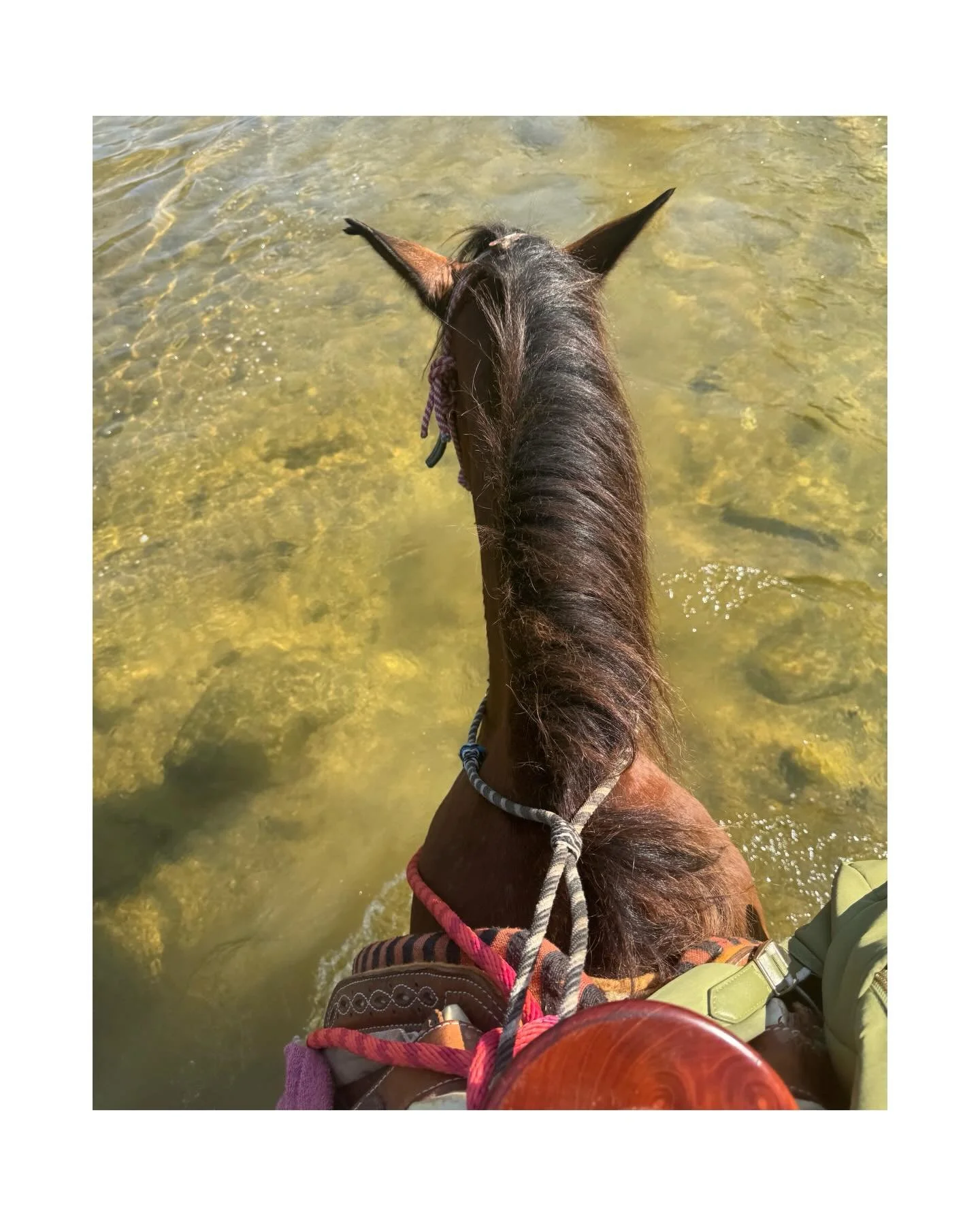 blowing burbujas with two beautiful brujas in mexico

friends are mirrors that reflect all the parts of us.
may we remember to treat such a sacred thing with tender care &ndash; both within ourselves and toward each other. enjoyed making memories wit