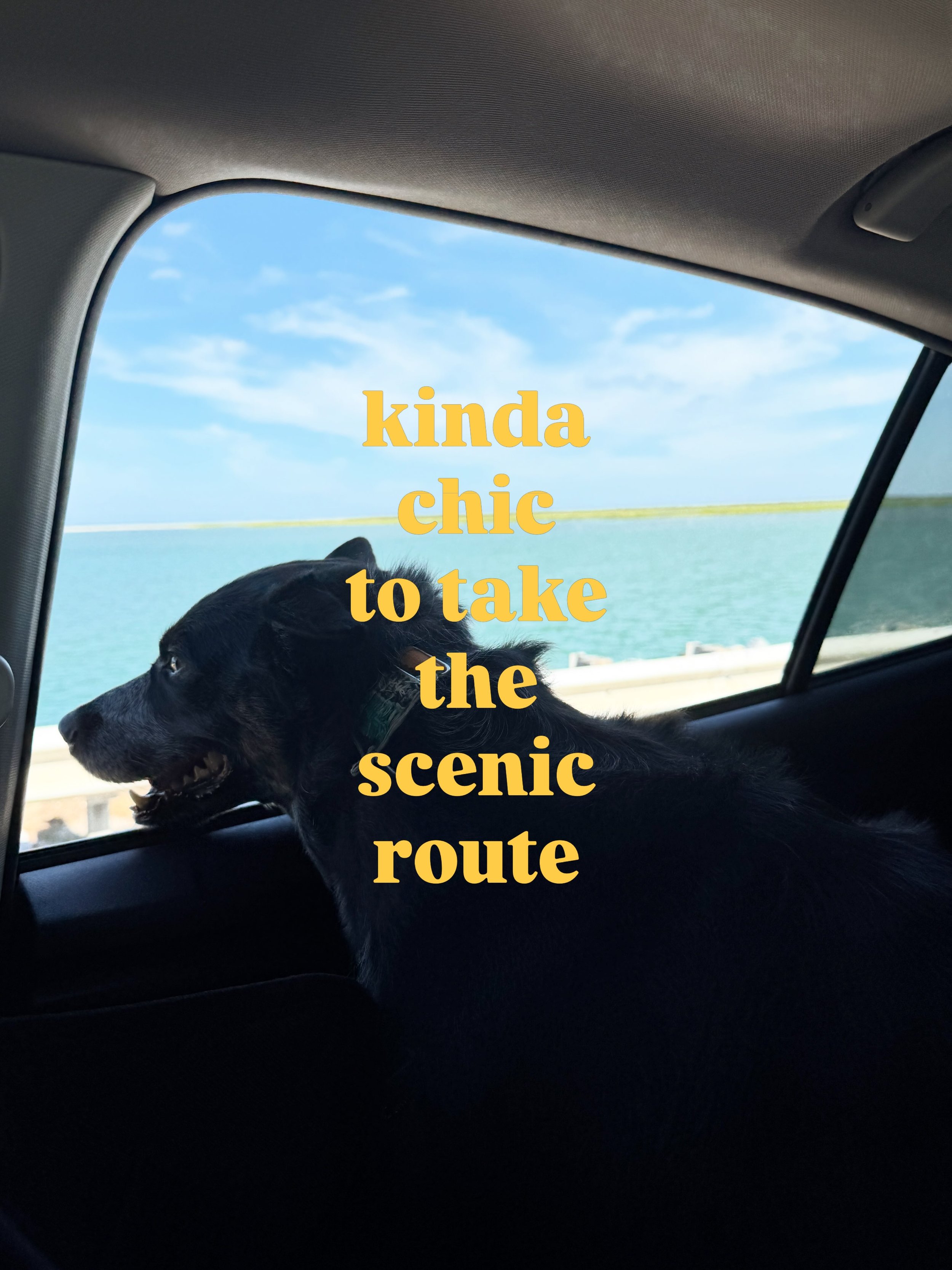 &hellip;on the road and in life. 😉