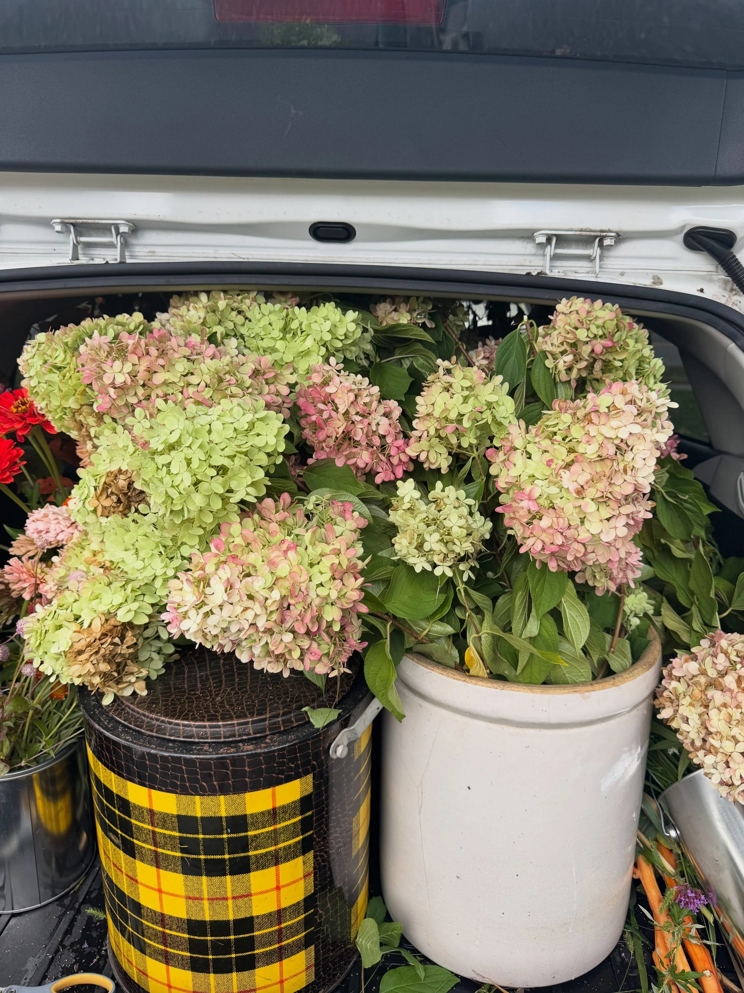 Had the most amazing time at the @countrylivingfair! The @countrylivingmag team brought me along to help setup and sprinkle fall fairy dust around the @dutchesscountyfairgrounds: straw bales, pumpkins, mums, florals, and vintage goods.

These hydrang