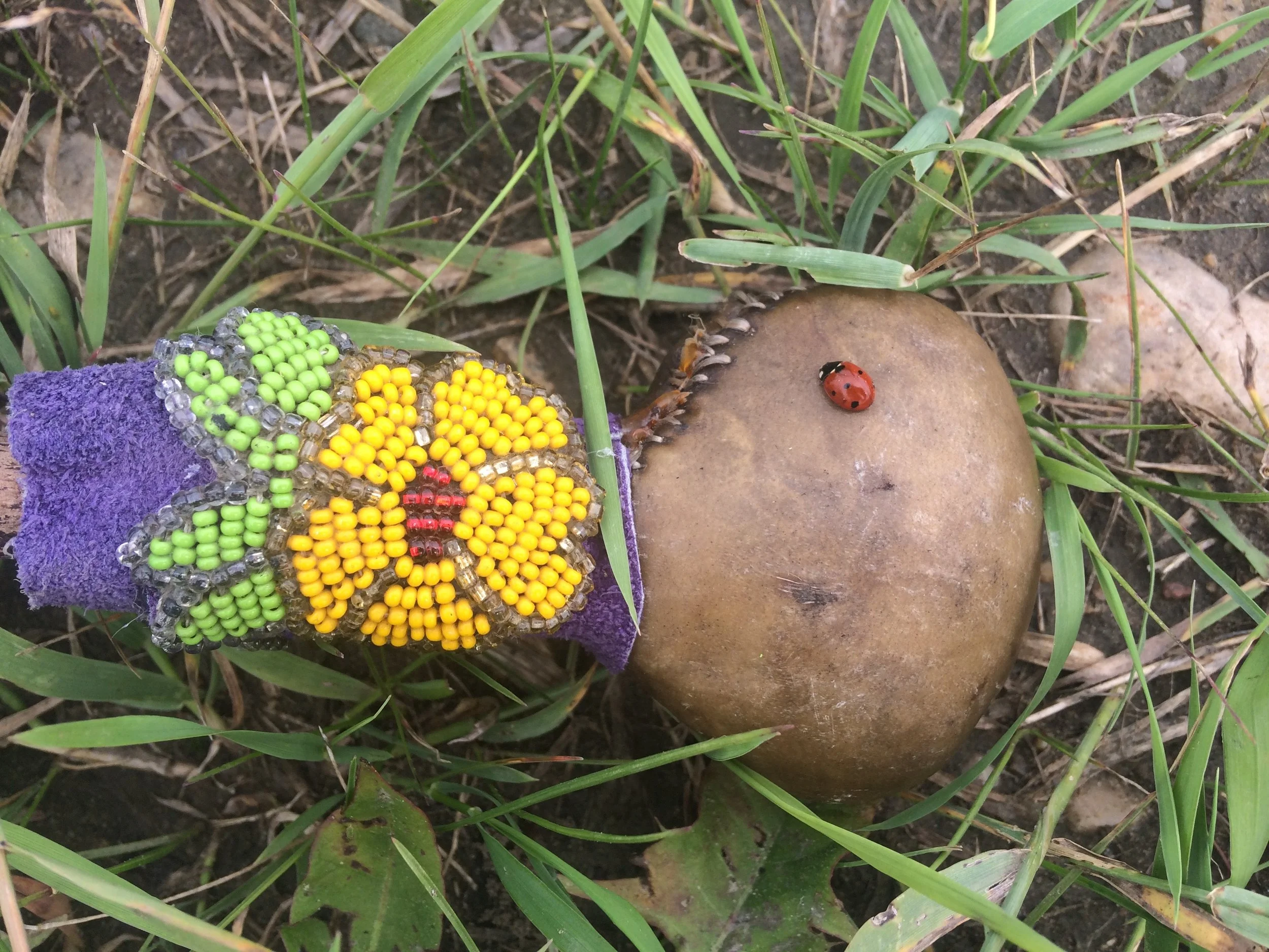 Shamanic rattle, shamanic journeying offered by Courtney Wren Mabbutt, a therapist in Nelson, Castlegar, and the Slocan Valley.