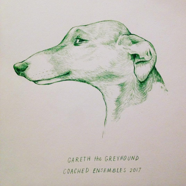 My first improv team was called Gareth the Greyhound. 