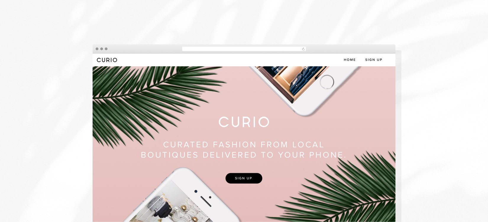 Initial CURIO website created to gather user insights.