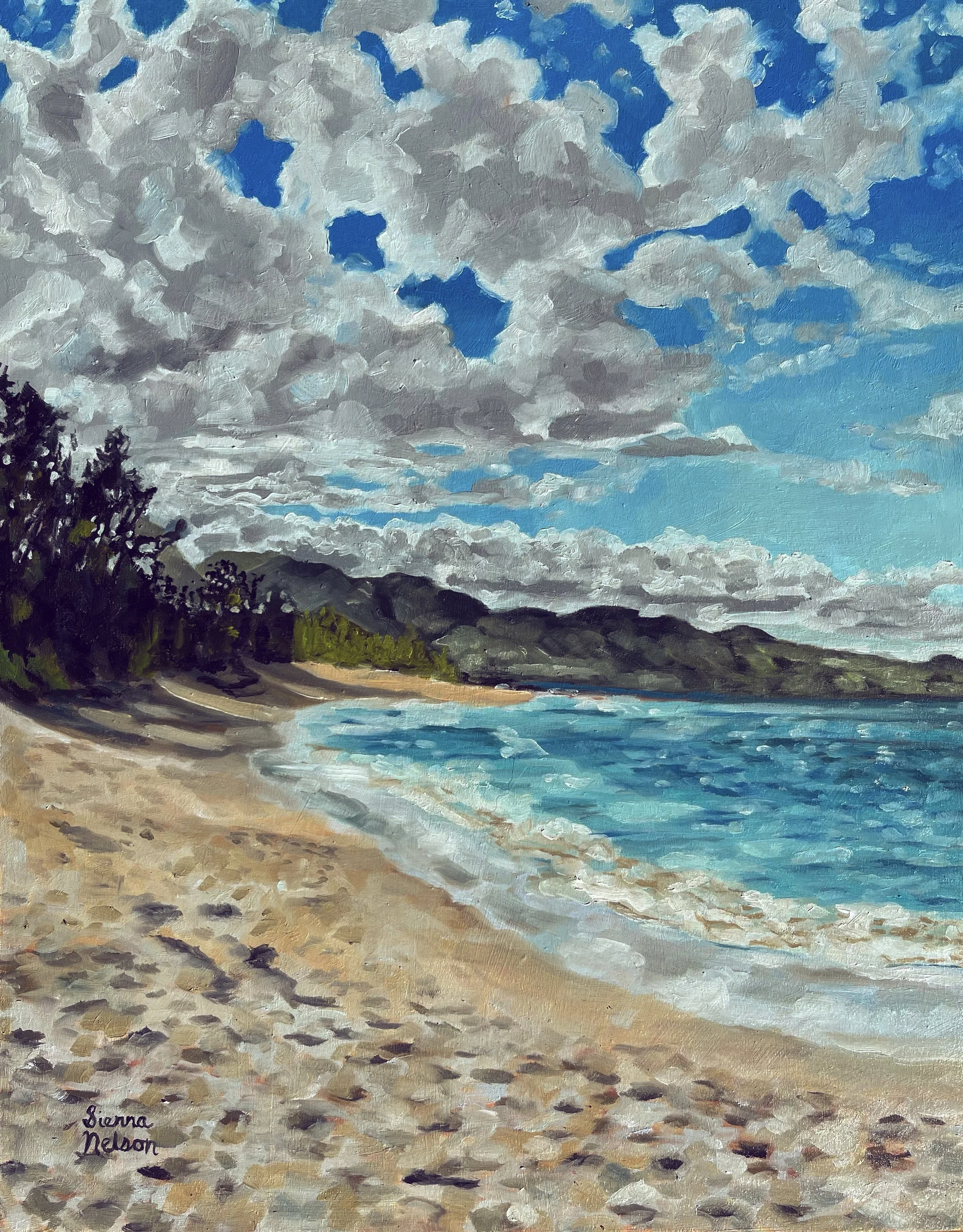 Baldwin Beach