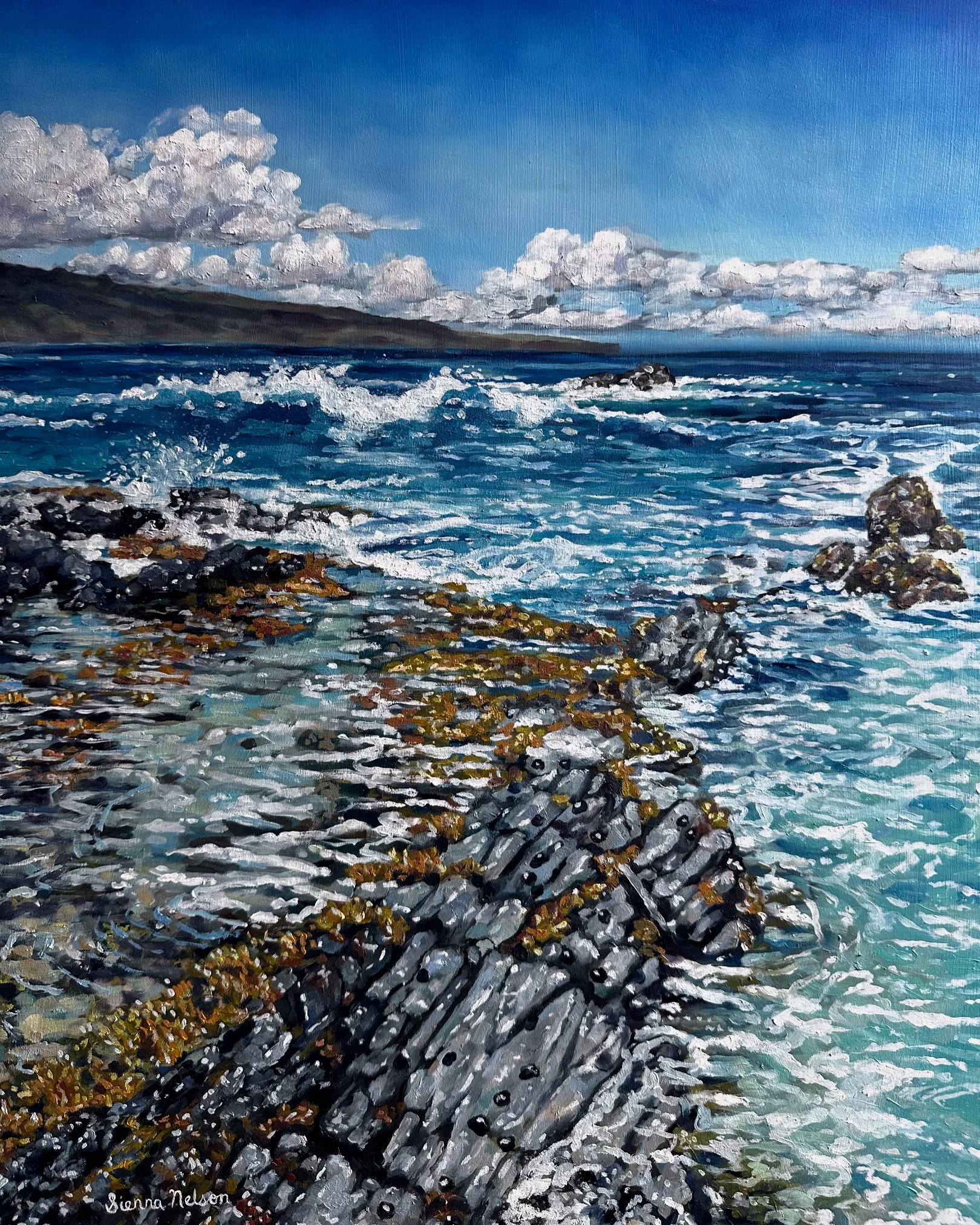 Maui Tide Pools 