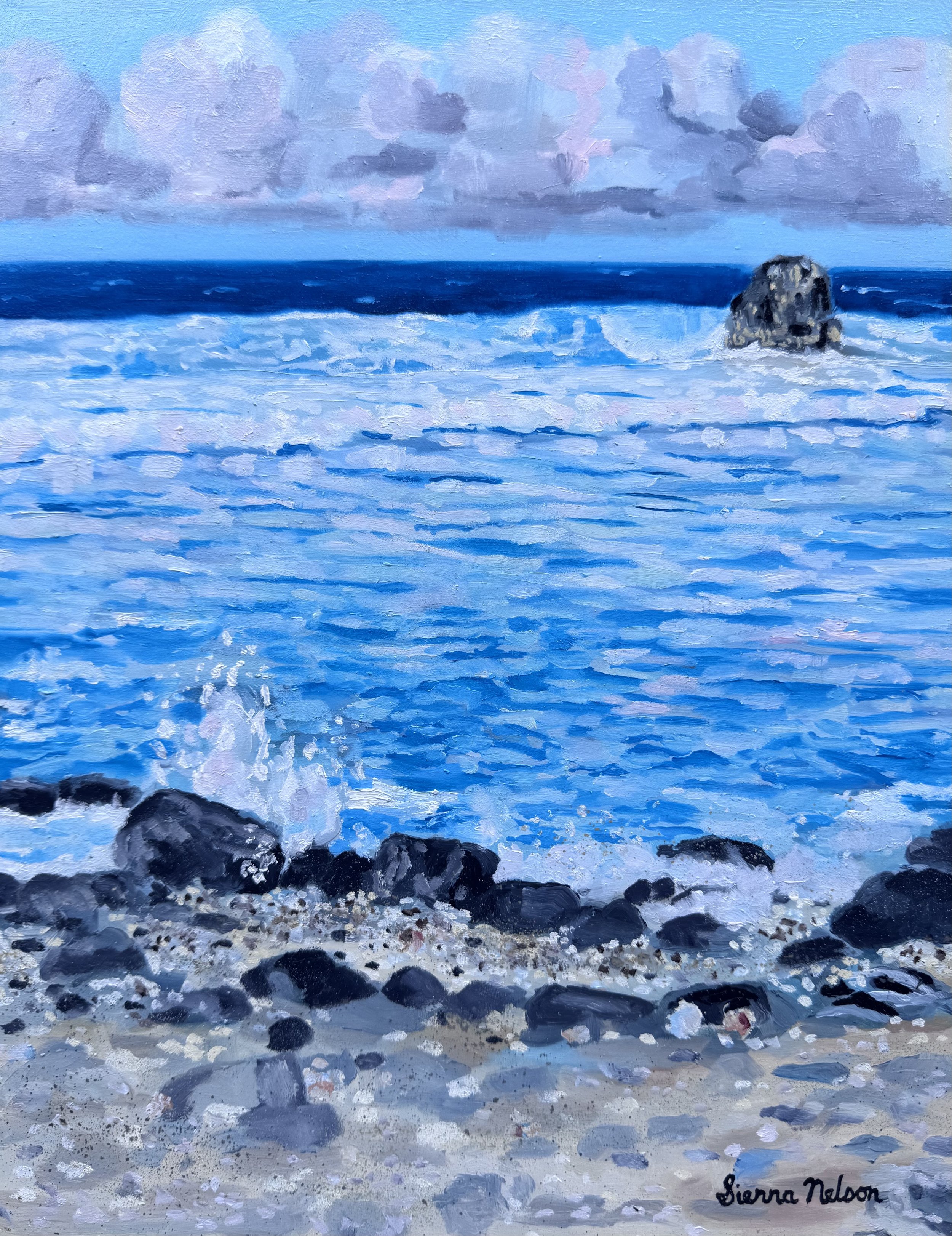Roaring Reef at Windmills Beach 
