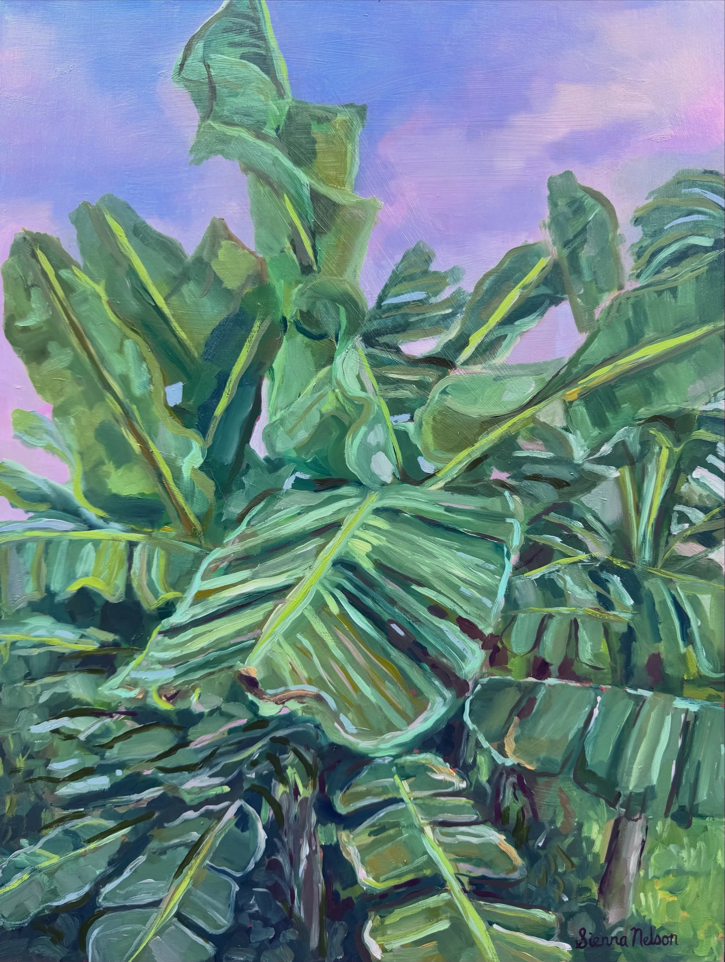 &lsquo;Banana Trees at Sunset&rsquo; 
oil on wood 
16x12in