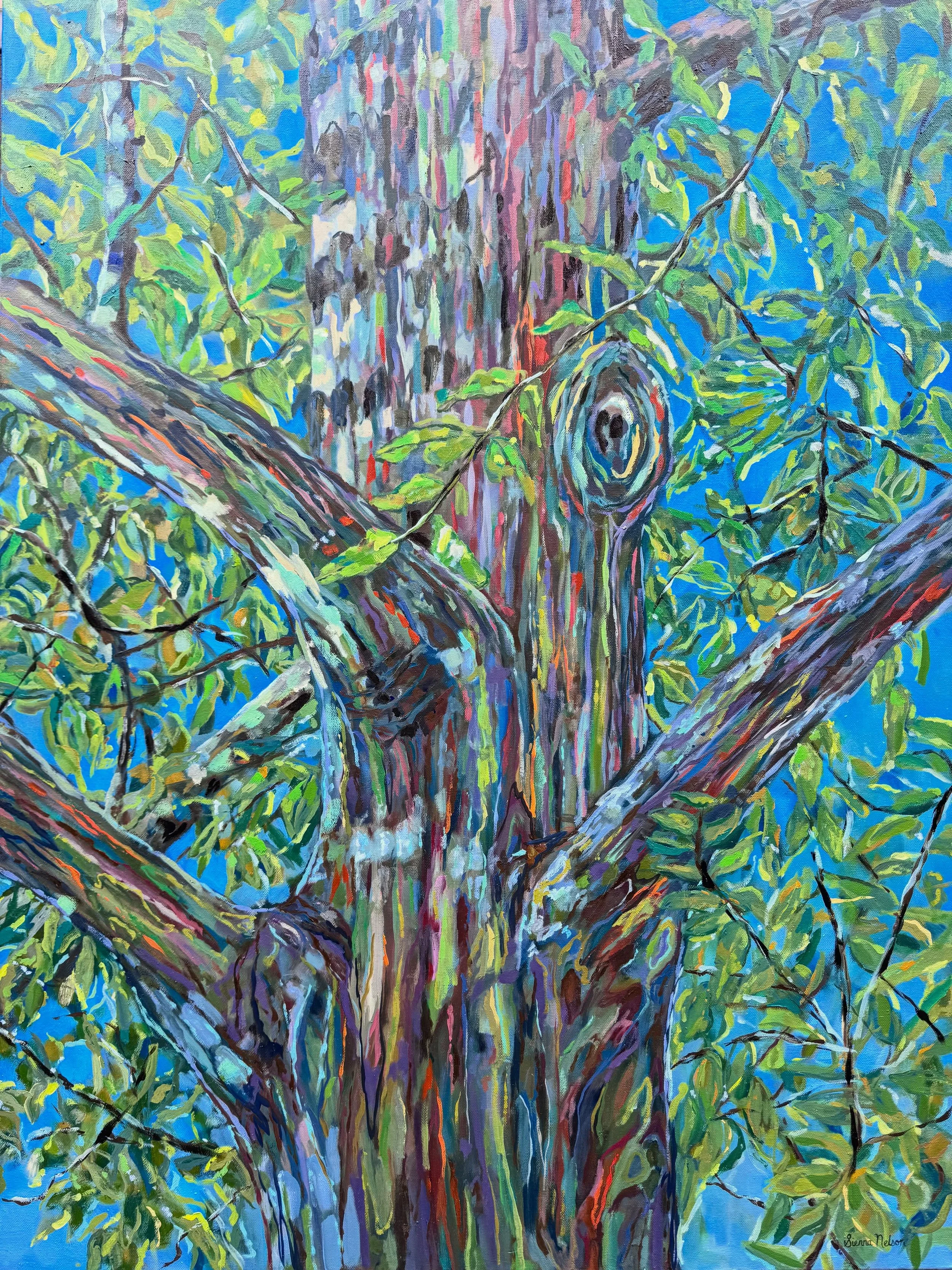 &lsquo;Kaleidoscope Canopy over Maui&rsquo;
oil on canvas 
40x30in 
.
.
#painting #artistsoninstagram #siennanelsonstudios