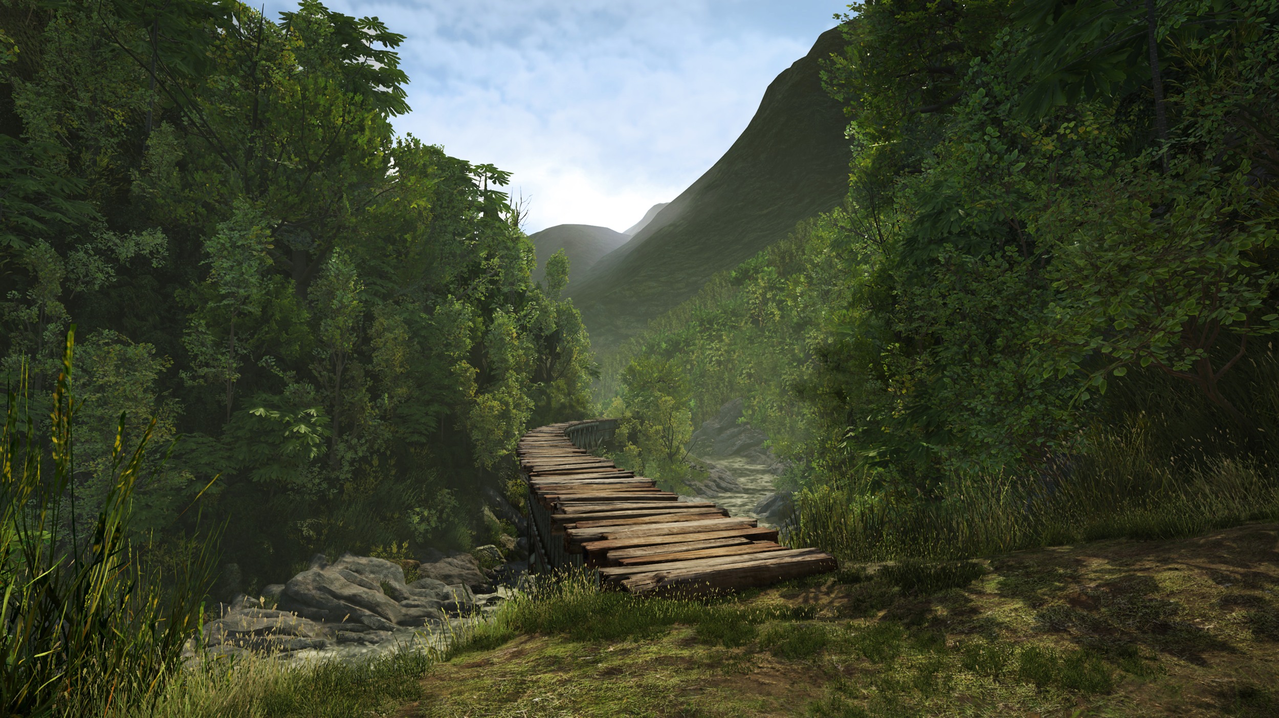 soyoungmimipark_TGTAmazon_Colombia03.png
