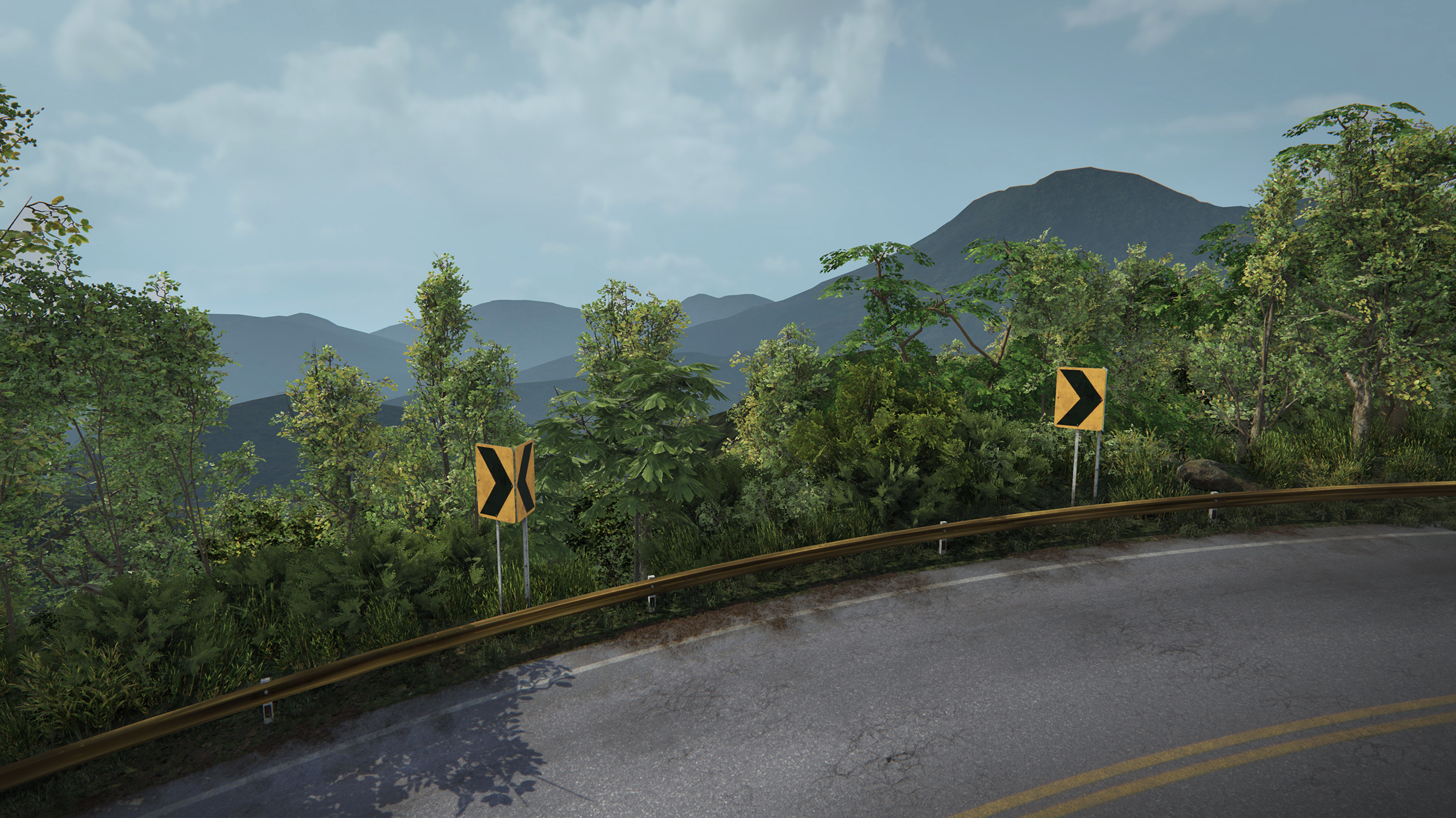 soyoungmimipark_TGTAmazon_Colombia08.png