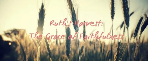 Ruth's Harvest: The Grace of Faithfulness