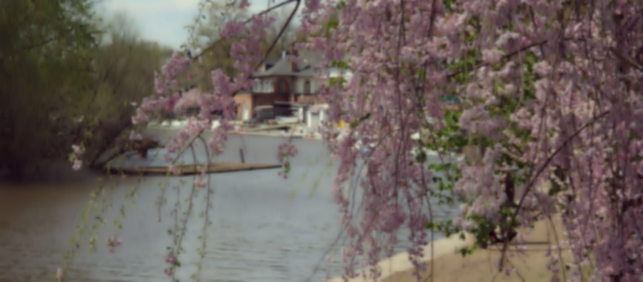 The Blessing of the Bible (Psalm 1:1-6)