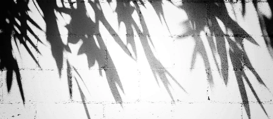 Shadows on the Kingdom (Matt 2:13-23)