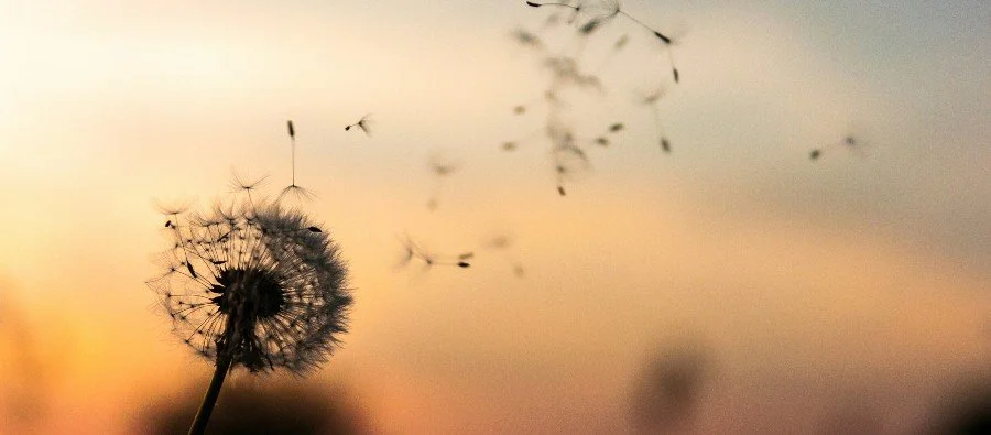 Spirit of Knowledge (John 14, 16, 2 Peter 1)