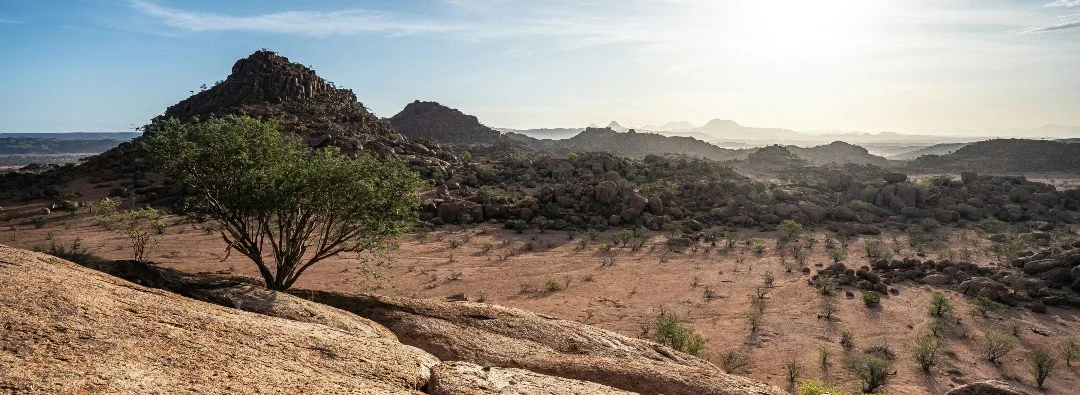 The Beginning of the Gospel (Mark 1:1-15)