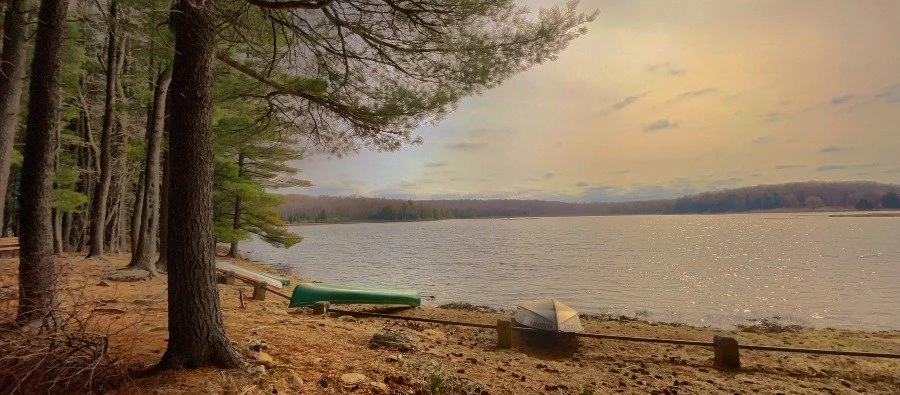 Questions About the Sabbath (Mark 2:23-3:6) 