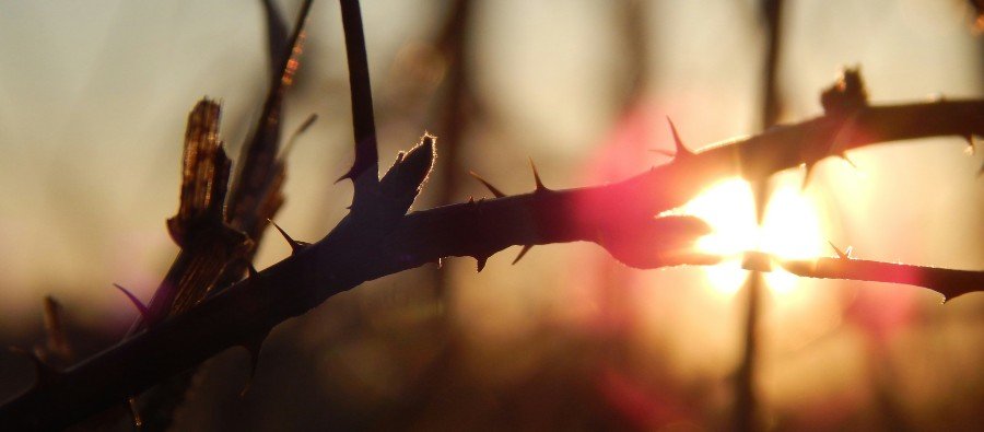 The Suffering Servant Saves (Mark 10:32-52)