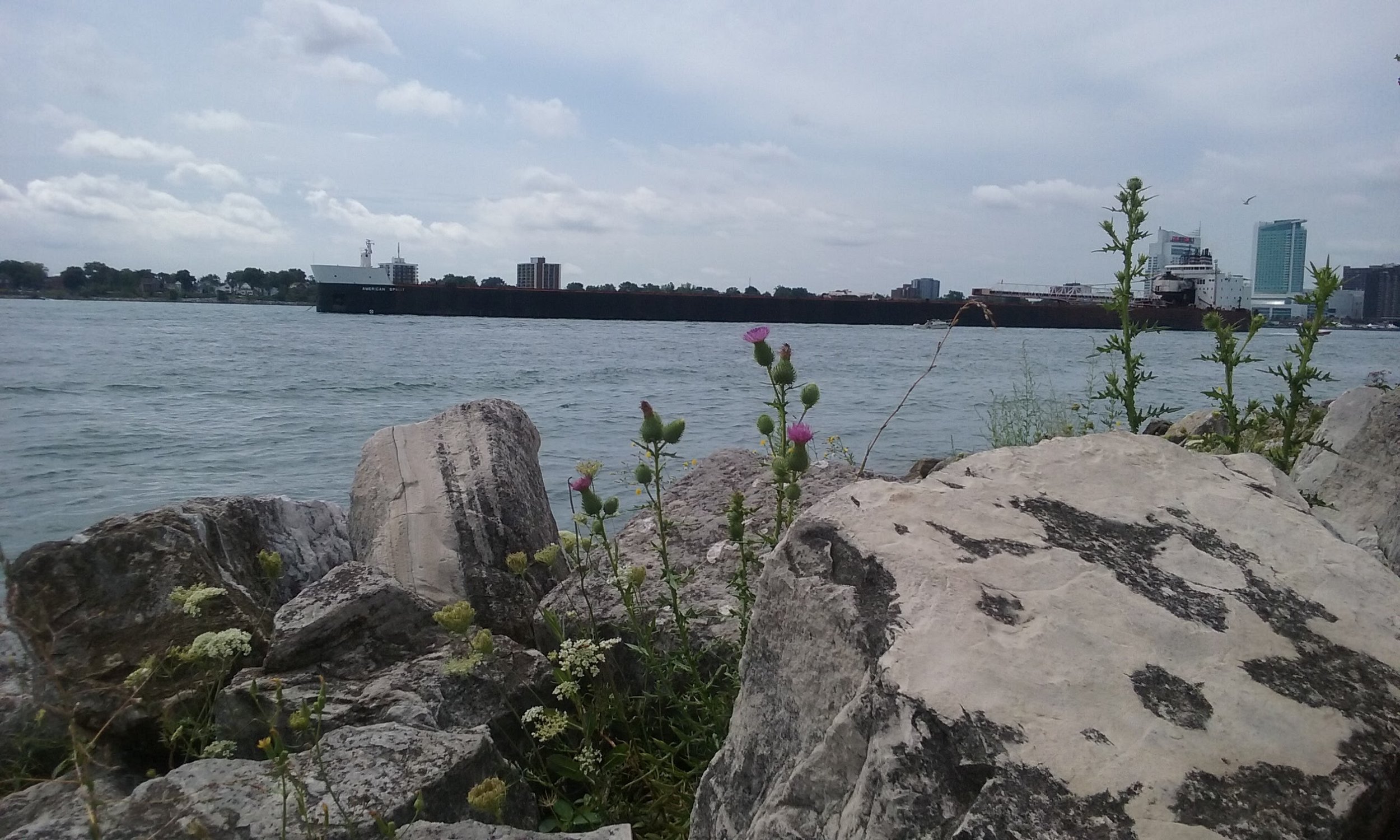 Freighter on Detroit River
