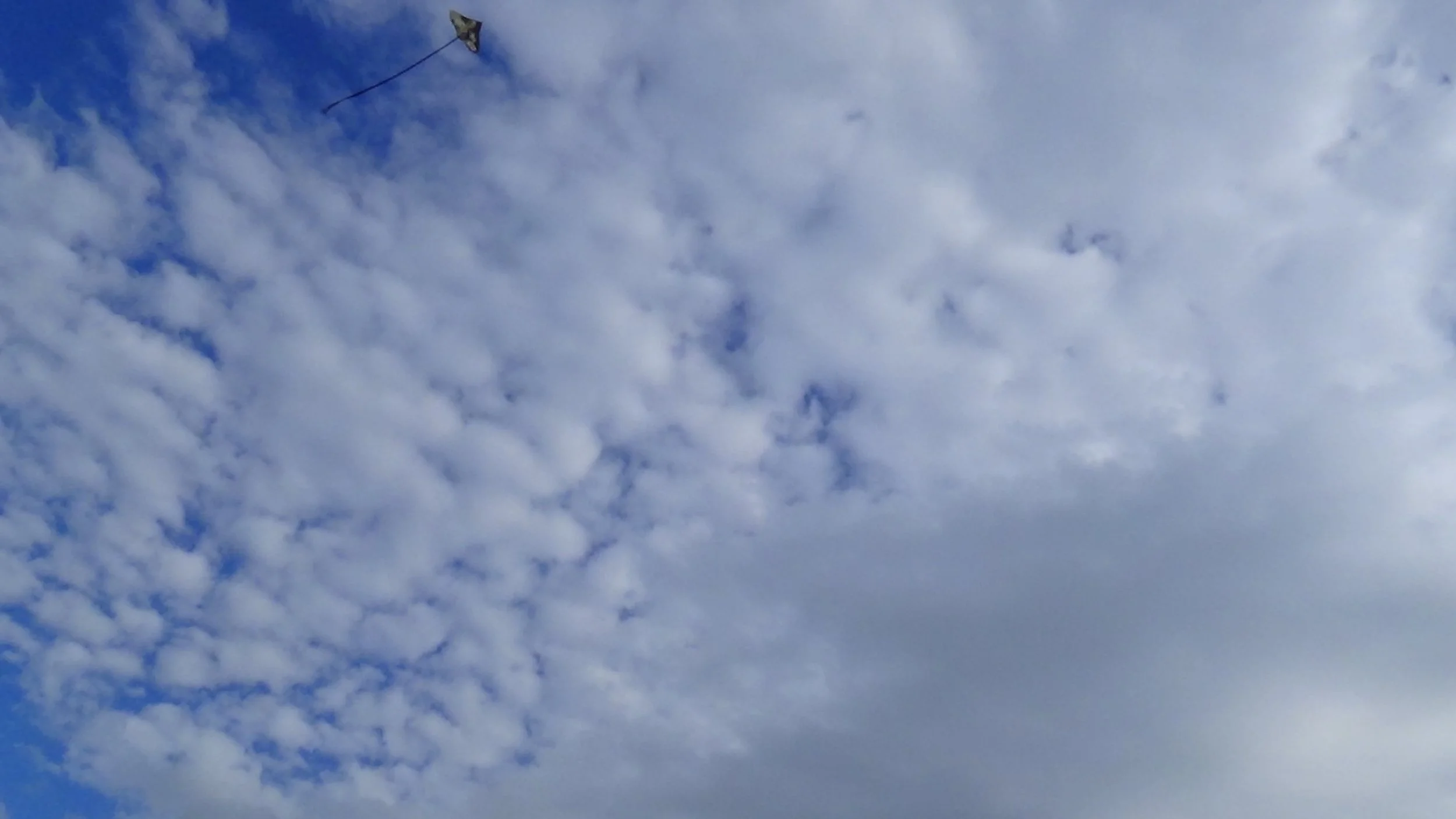 Kite Escaping.jpg