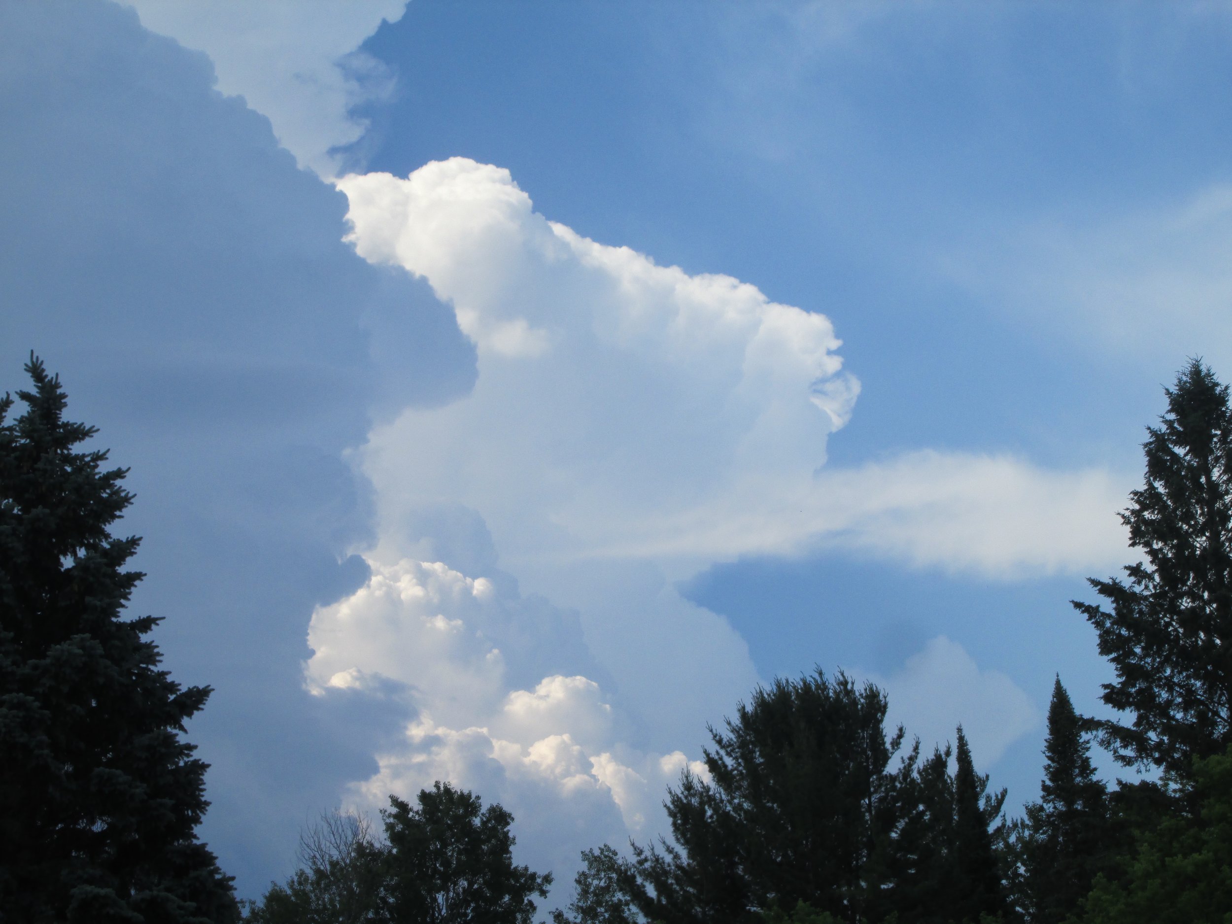 The sky above Michigan, our earthly home!