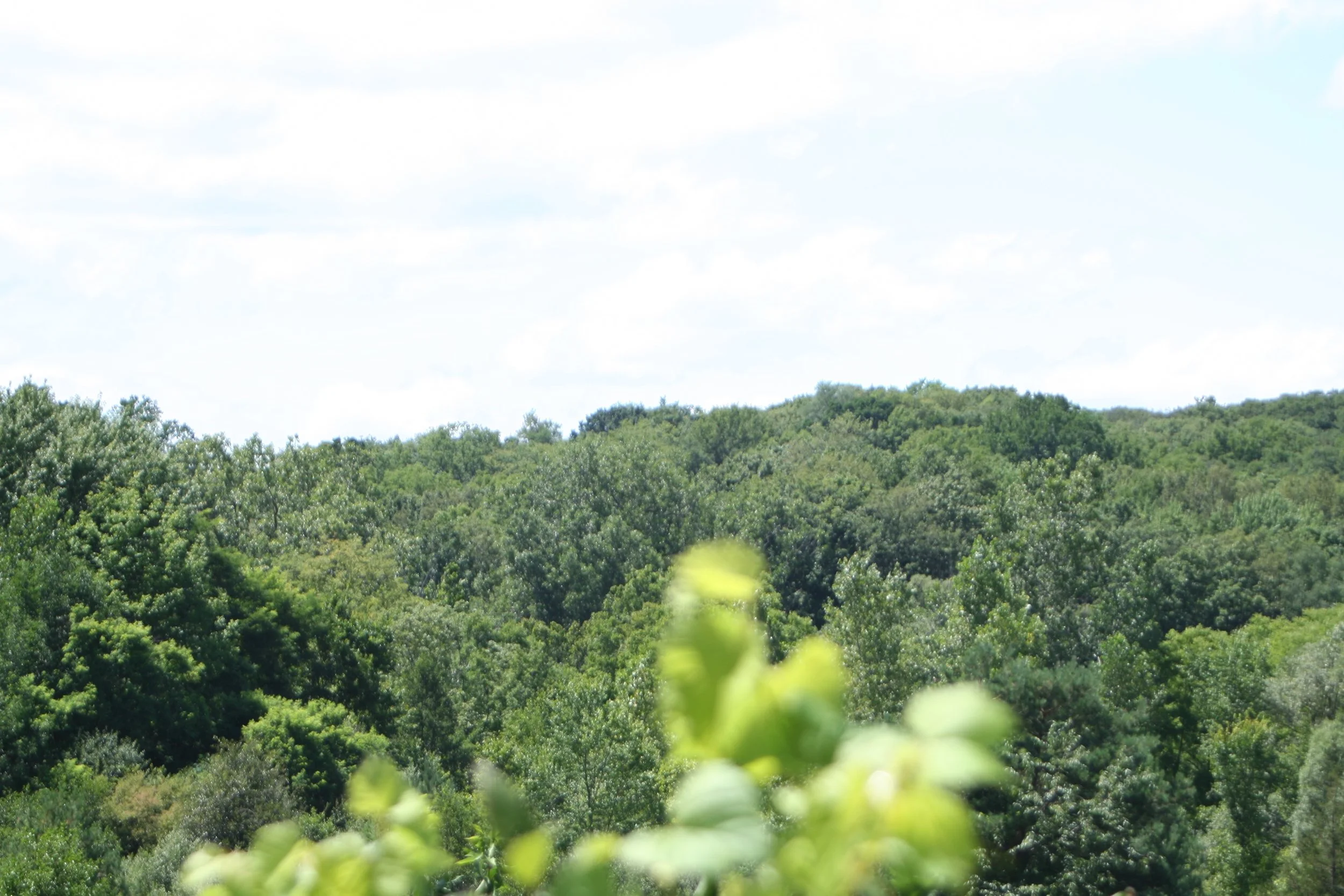 It was a perfect weekend in Michigan-the weather, the natural beauty and the people-all inspiring!