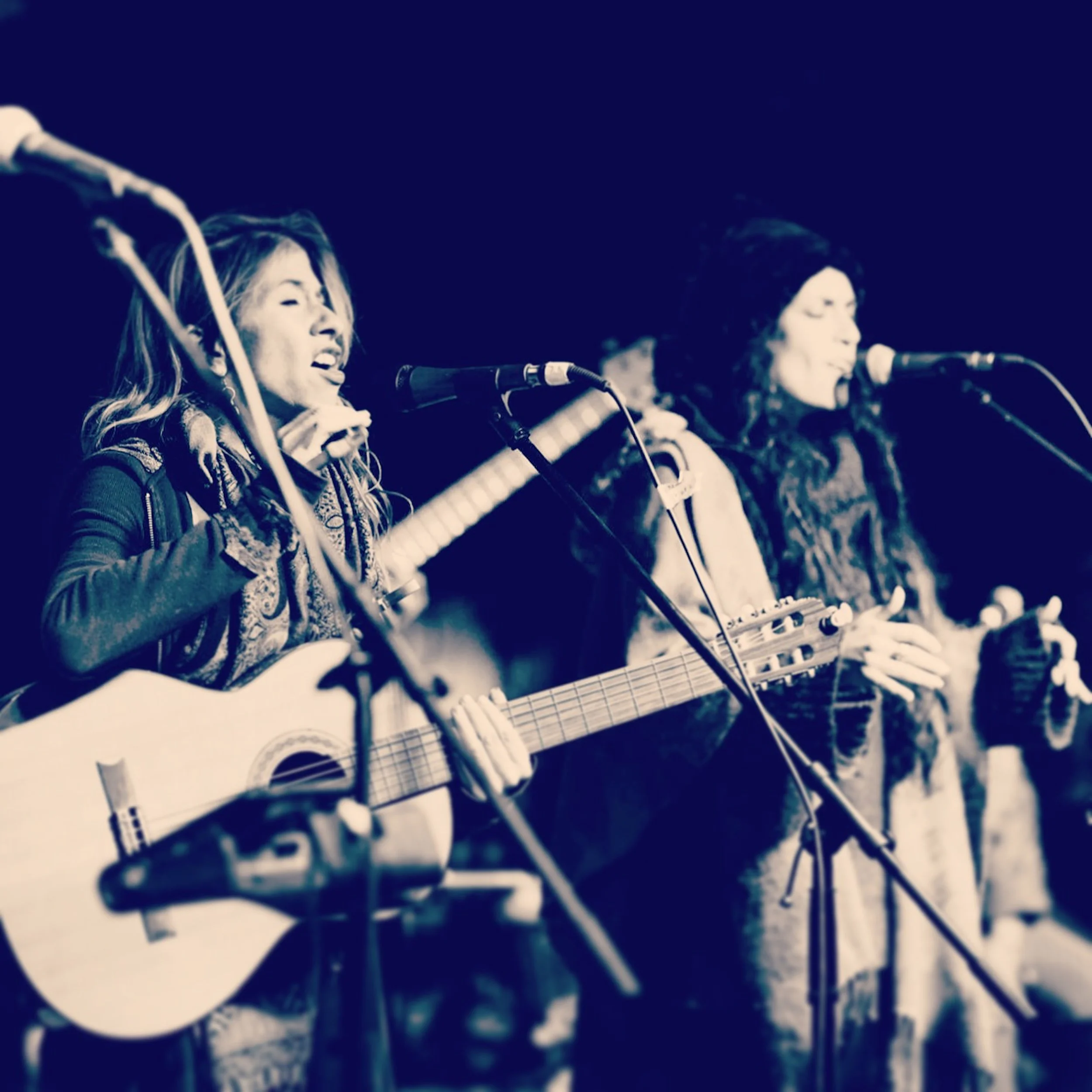 Scarlet Crow Live 4.JPG