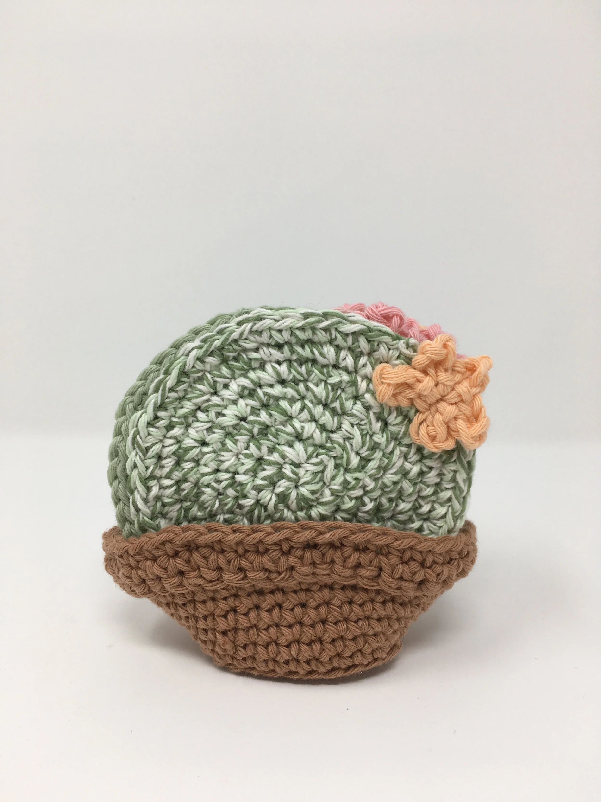 Set of 6 Succulent Cactus Coasters