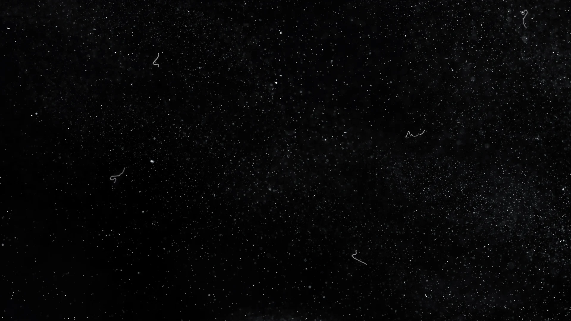 dust.jpg