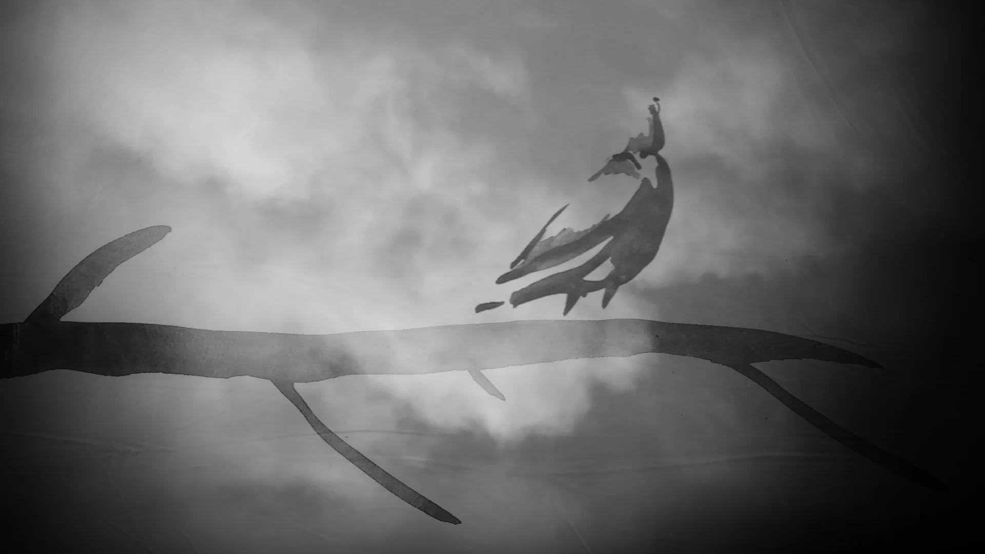 Flying the nest (11).jpg