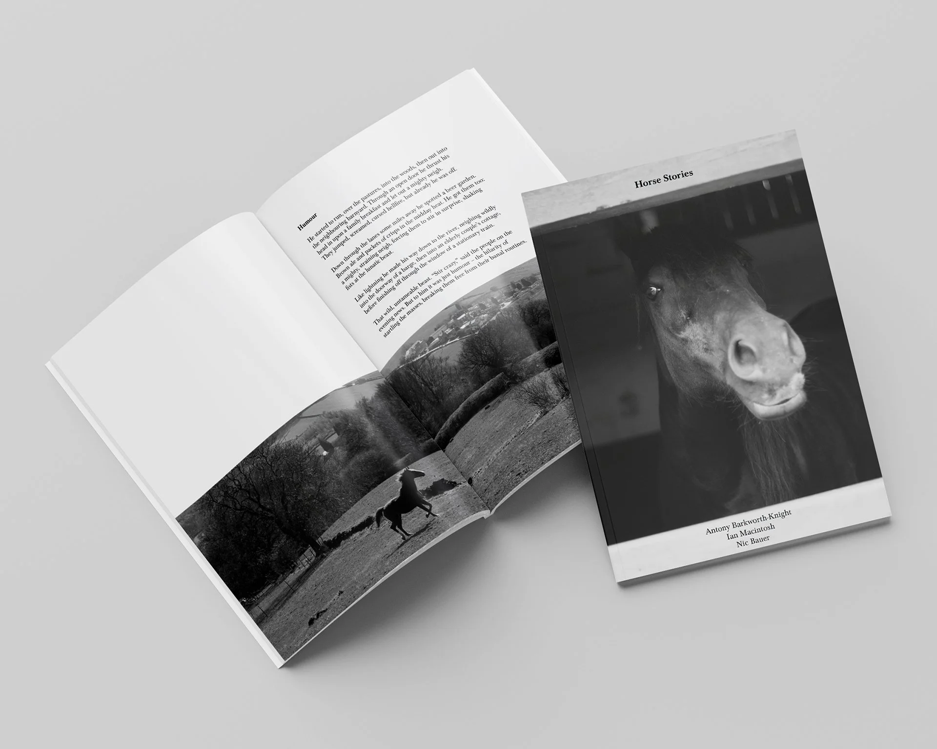 Cover + Inner pages 2 copy 2.jpg