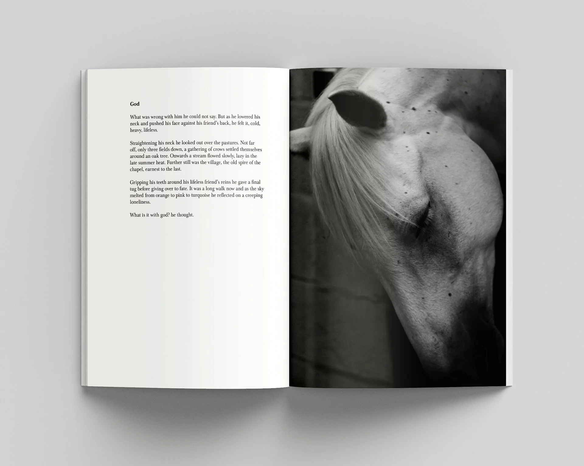 Inner pages 6 copy 2.jpg