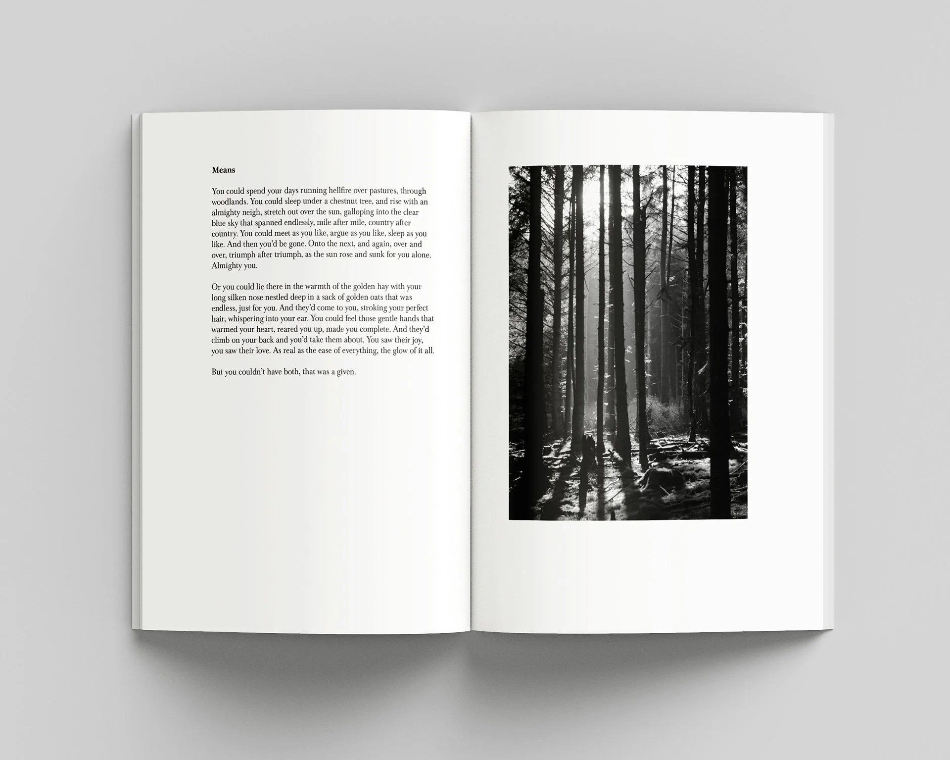 Inner pages 5 copy 2.jpg