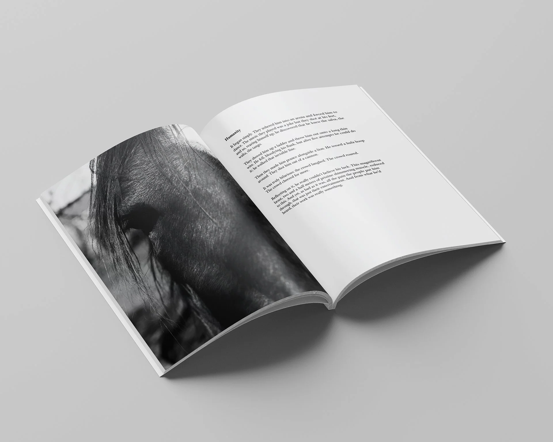Inner pages 2 copy 2.jpg