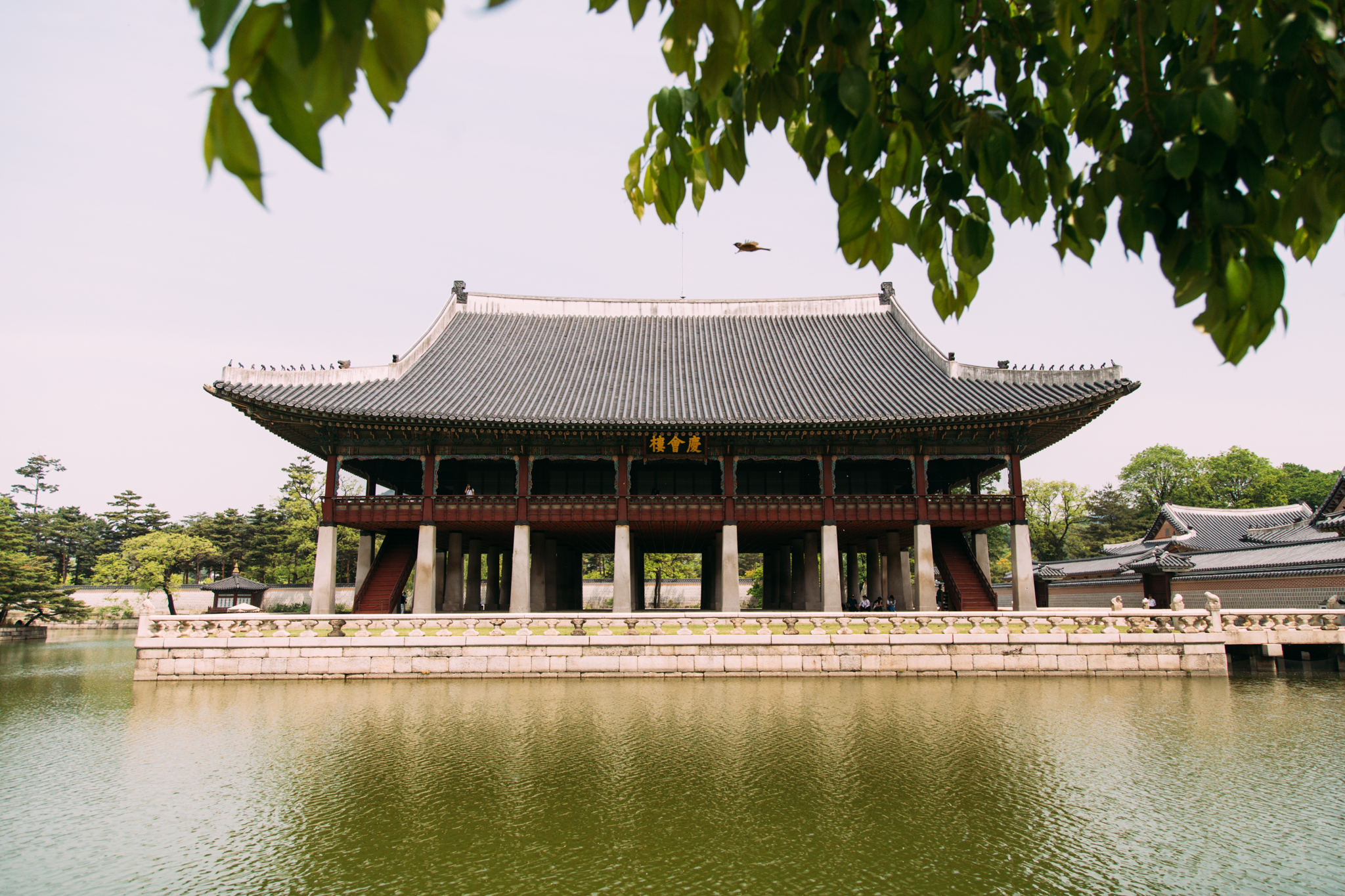 Korea-209.jpg
