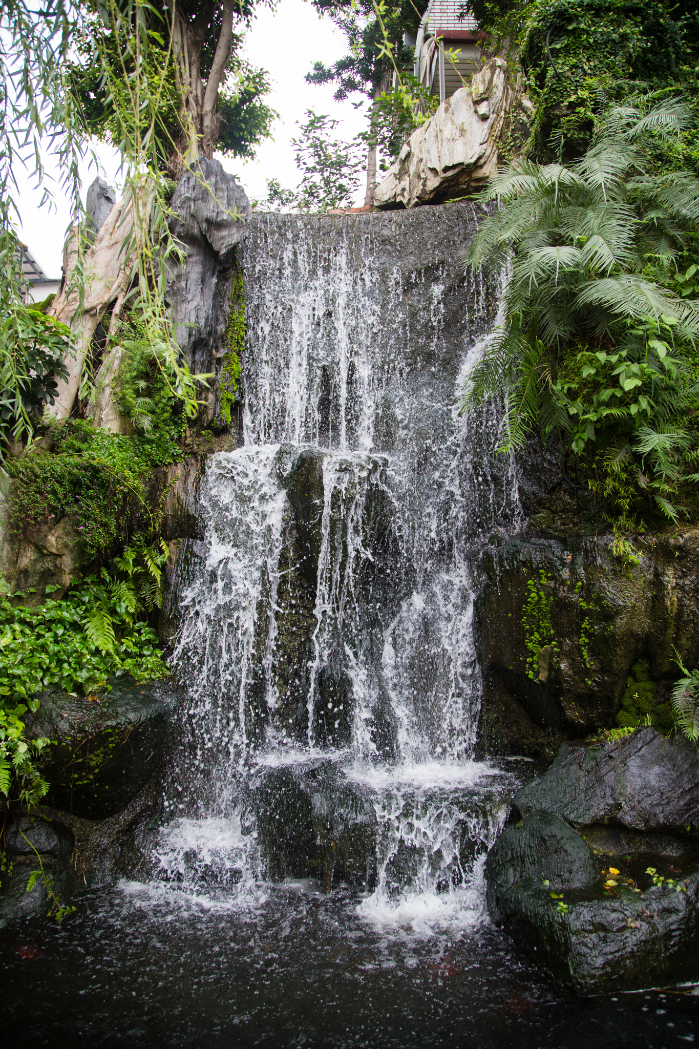 Taiwan-117.jpg