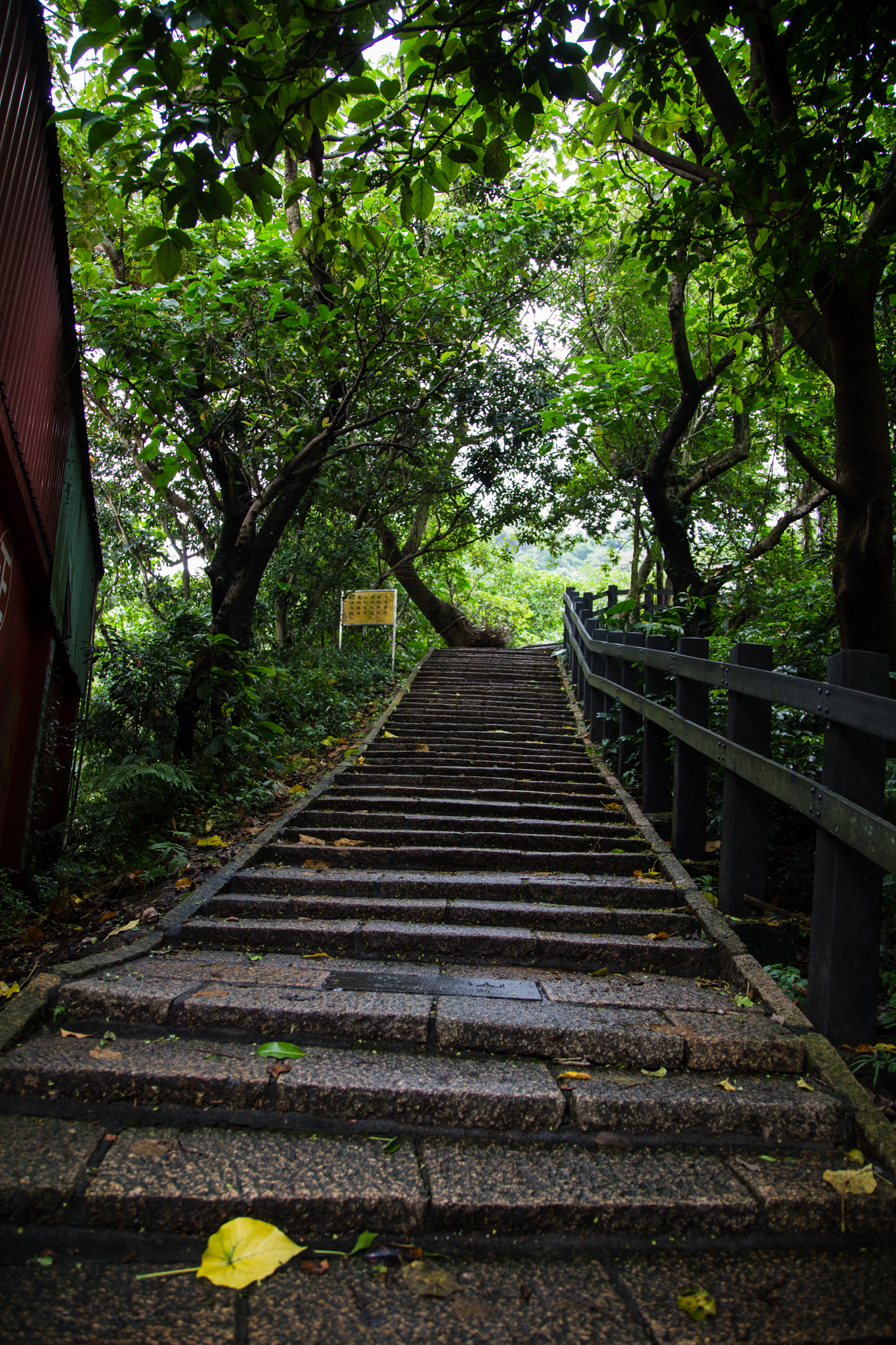 Taiwan-31.jpg
