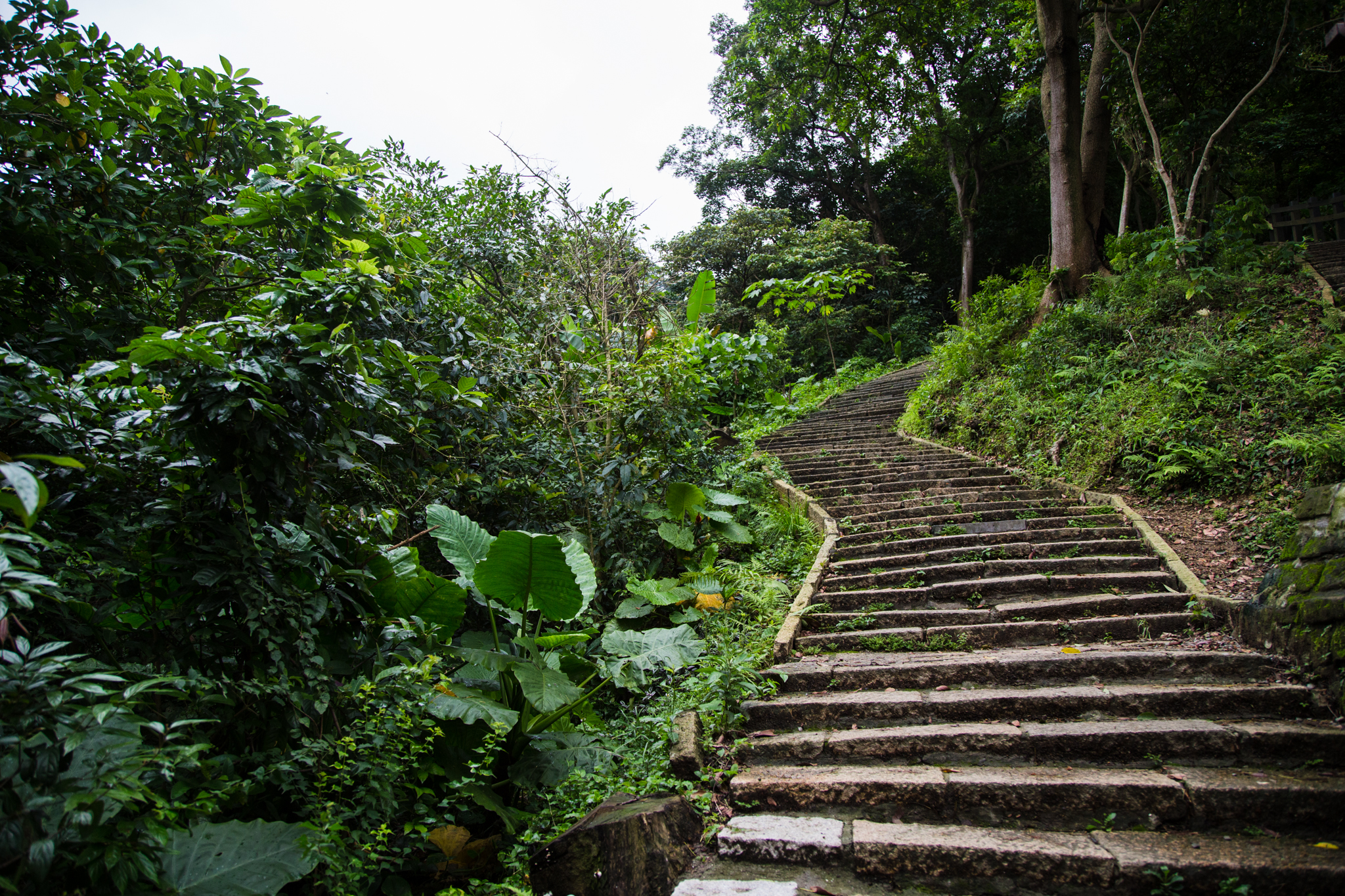 Taiwan-34.jpg