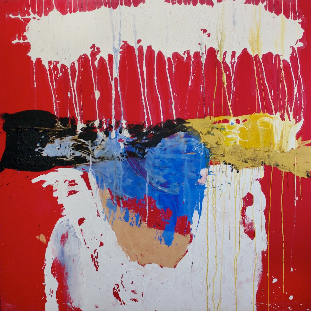 Forma Archetipa / Archetypal Shape. 2011