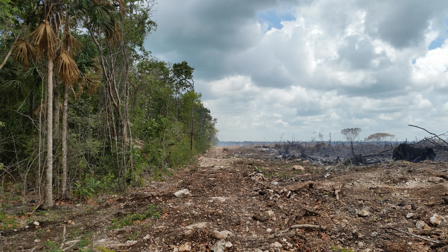 The contrast between conservation and deforestation. Photo copyright: CSFI.bz / ITCFund.org
Normal
0
21
false
false
false
DE-CH
X-NONE
X-NONE
/* Style Definitions */
table.MsoNormalTable
{mso-style-name:"Table Normal";
mso-tstyle-rowband-size:0;
mso-tstyle-colband-size:0;
mso-style-noshow:yes;
mso-style-priority:99;
mso-style-parent:"";
mso-padding-alt:0cm 5.4pt 0cm 5.4pt;
mso-para-margin:0cm;
mso-para-margin-bottom:.0001pt;
mso-pagination:widow-orphan;
font-size:10.0pt;
font-family:"Calibri","sans-serif";}