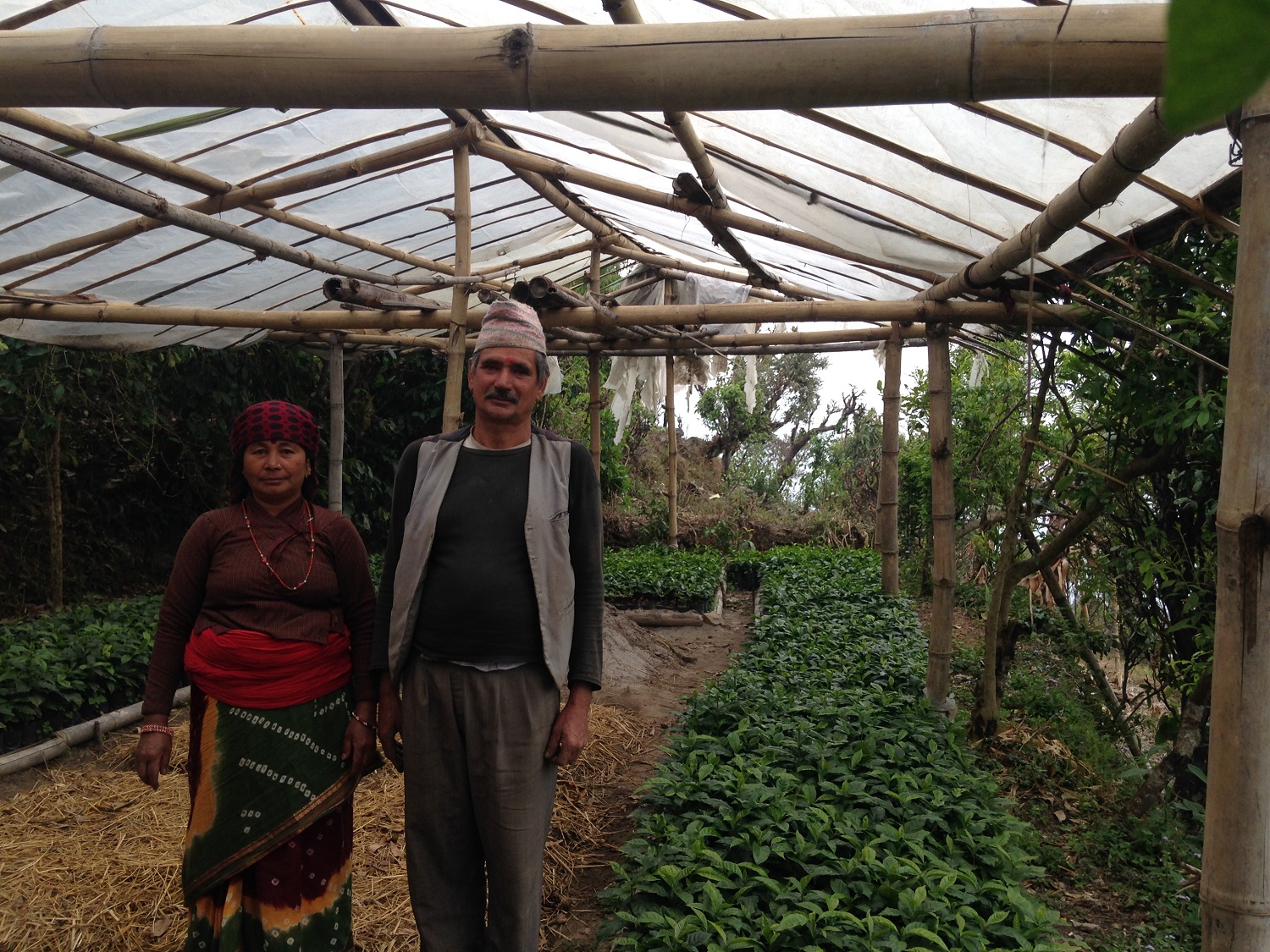 Organic farmers from the Pokhara Valley