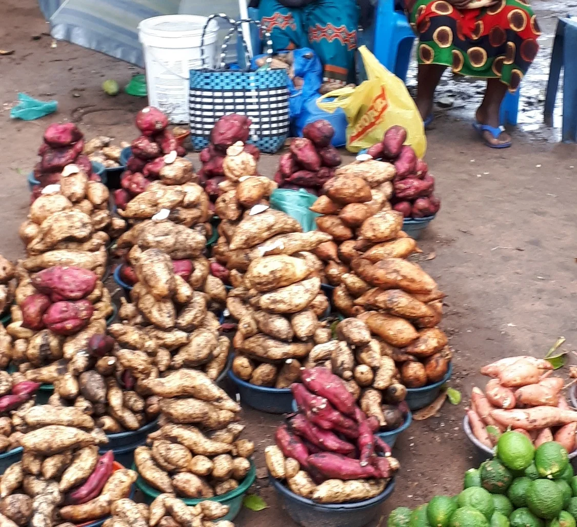 Sweet potatoes sold in abundance at the local market in Maputo, Mozambique. Photo: Anubha Garg