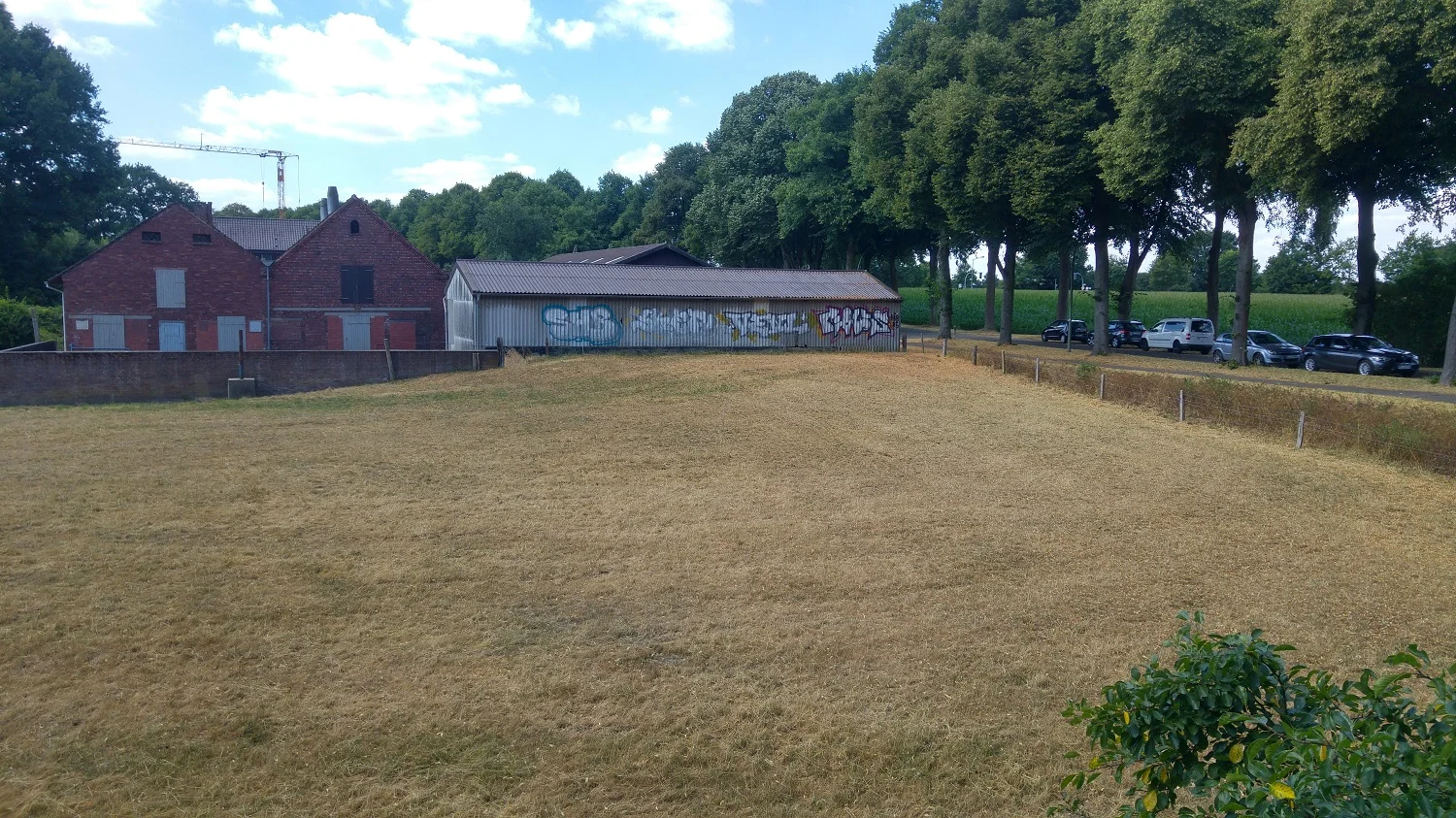 Drought affected grassland in Germany in summer 2018 (photo: Valentin Klaus)