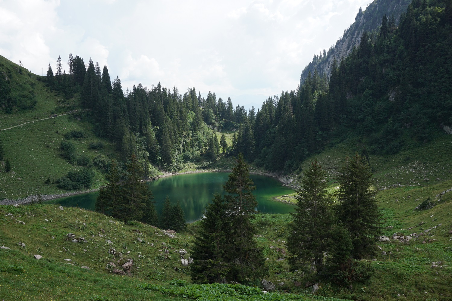 The Alpine landscape with Lake Walop
