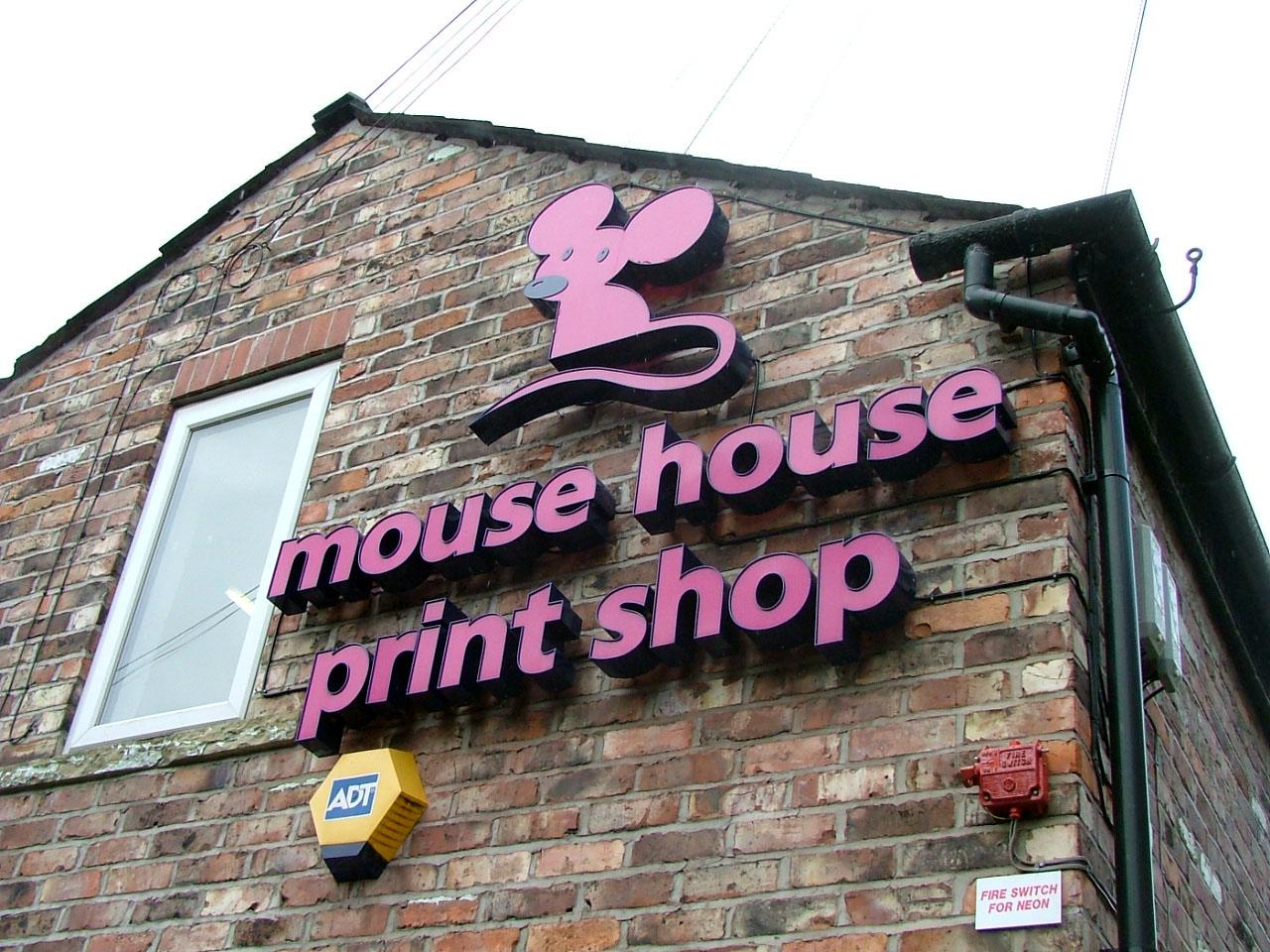 Mouse House 1.JPG