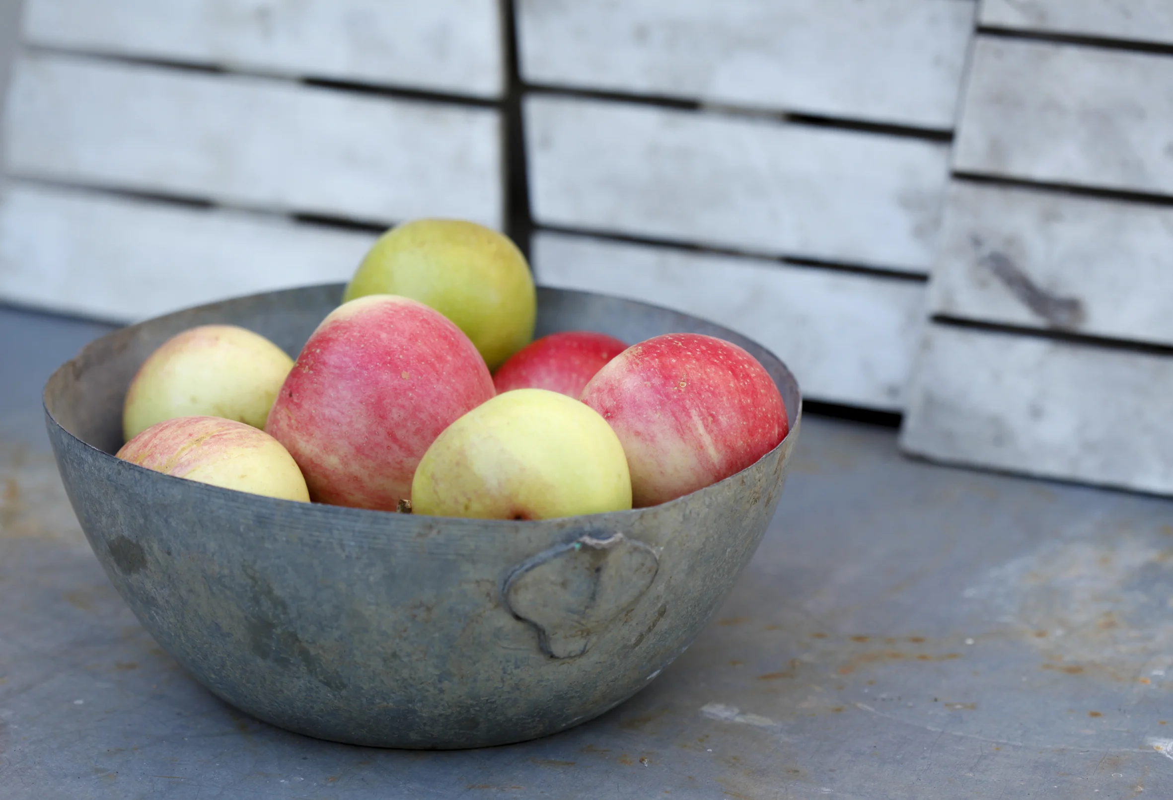 apples galvanised (1 of 1).jpg