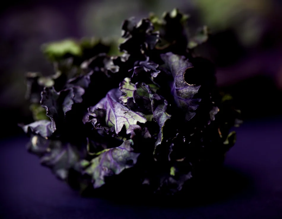 sprout1.jpg