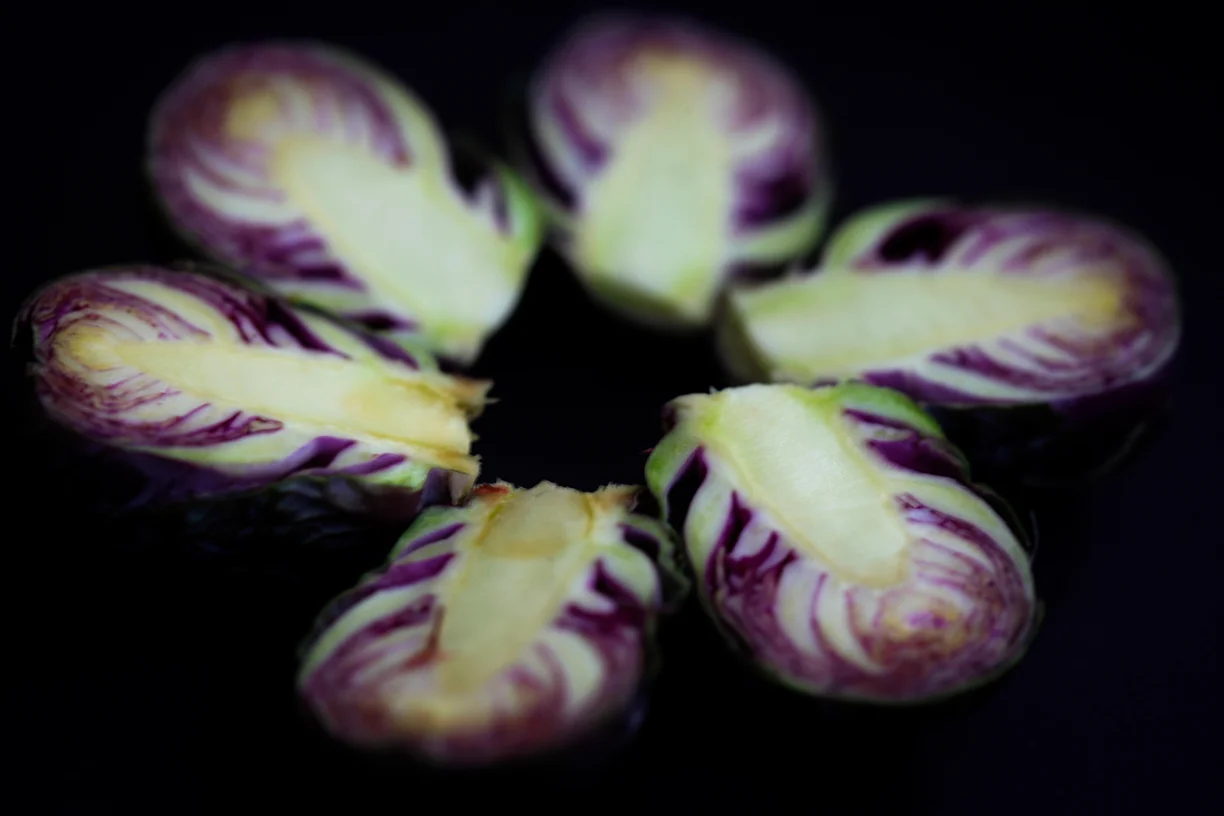 sprout ring.jpg