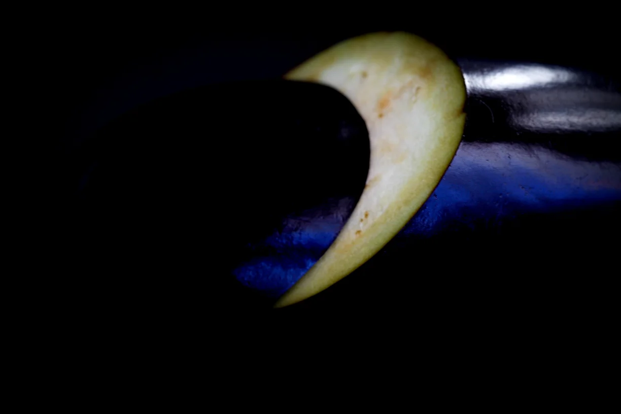 aubergine.jpg