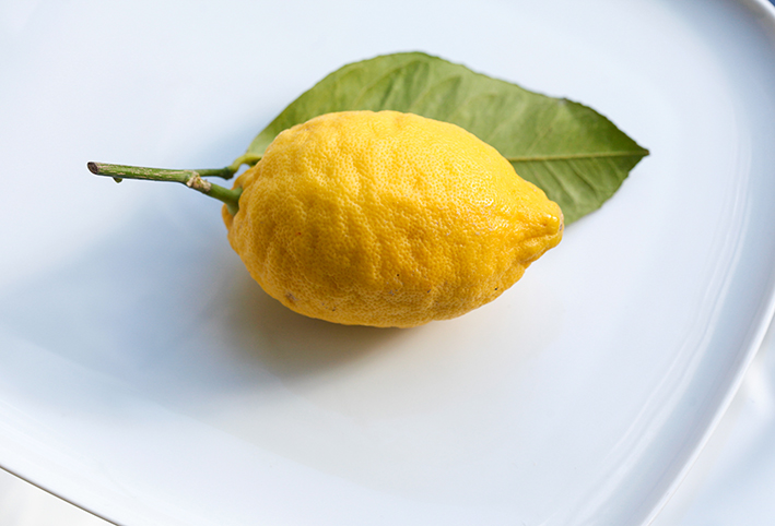 solo lemon.jpg