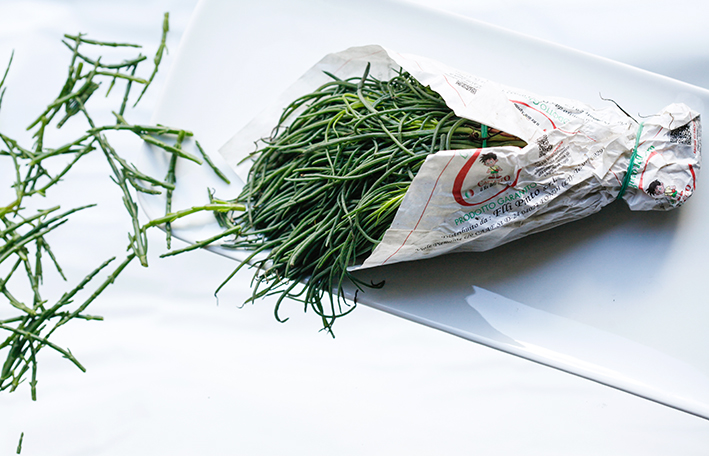 samphire 2.jpg