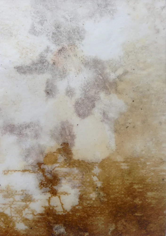Sand & Soil